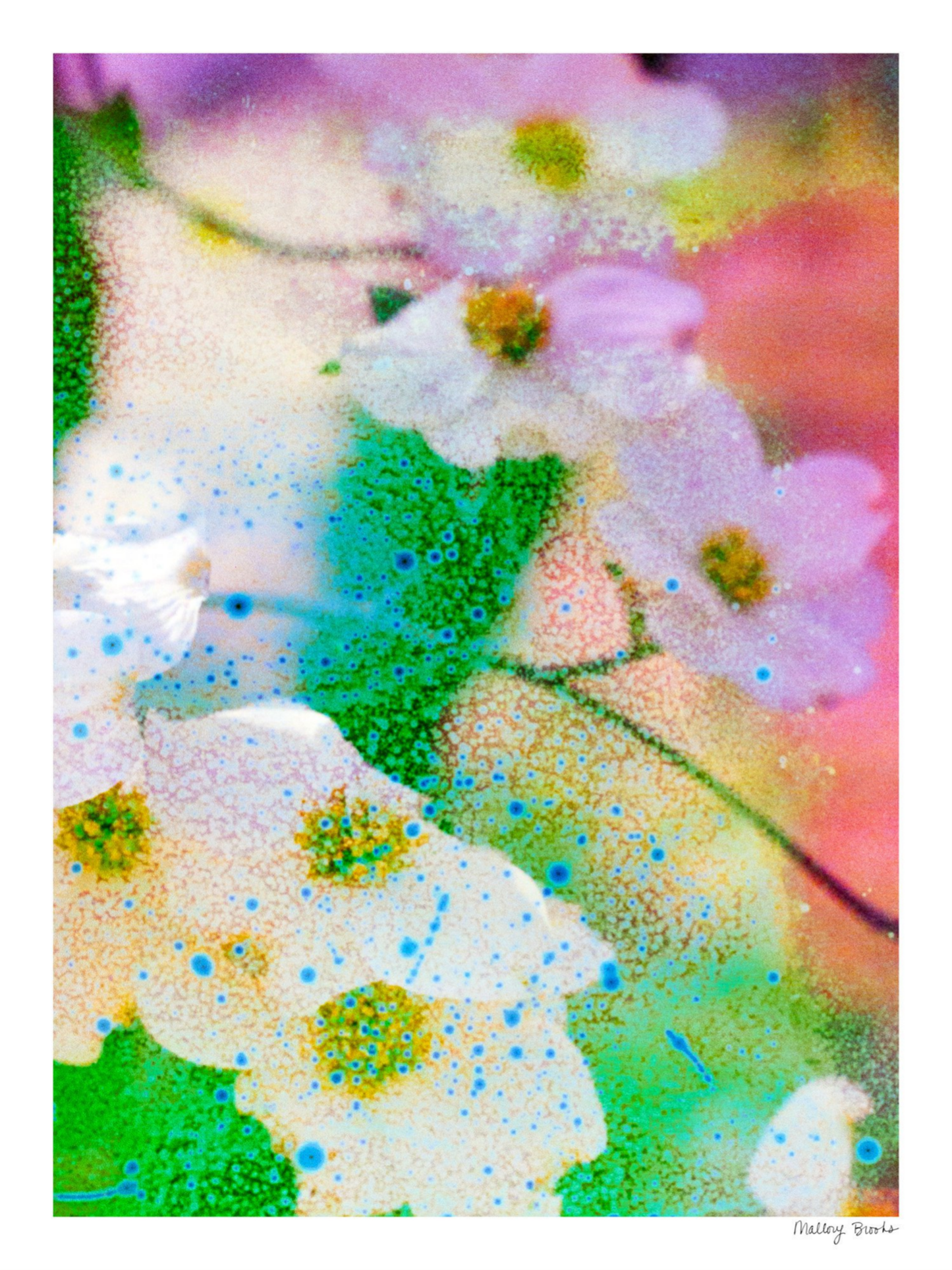 Electric Dogwoods No. 4