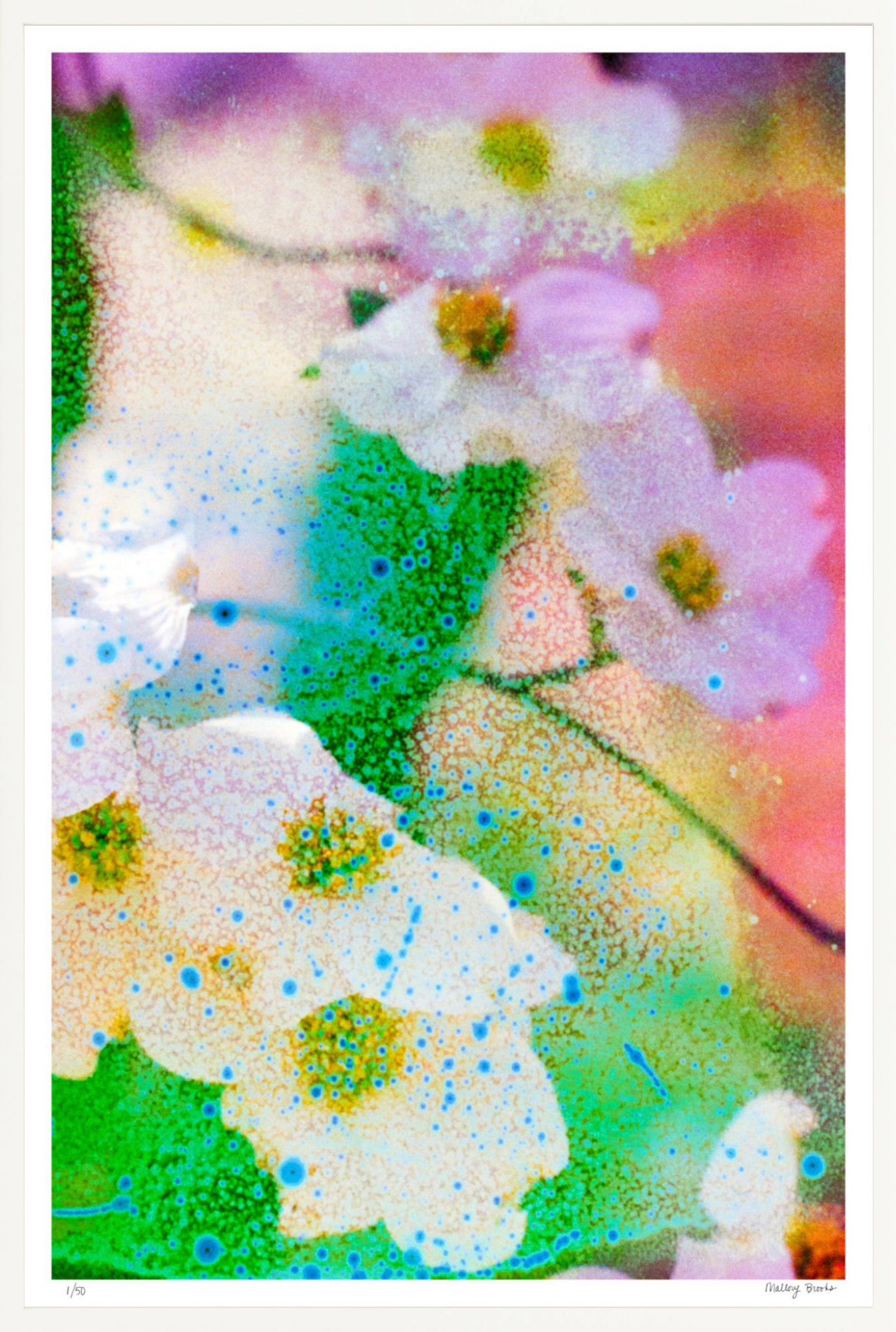 Electric Dogwoods No. 4