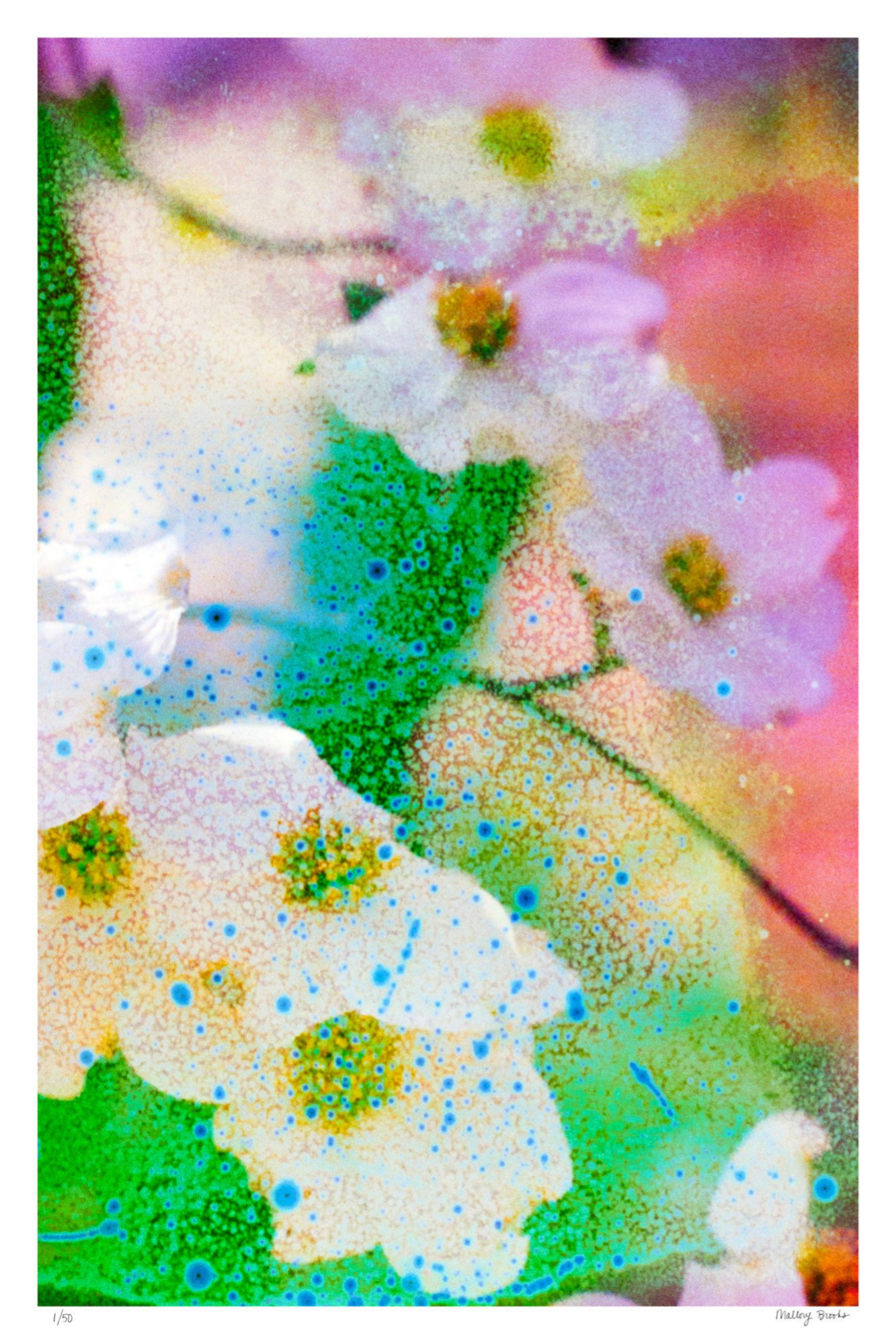 Electric Dogwoods No. 4