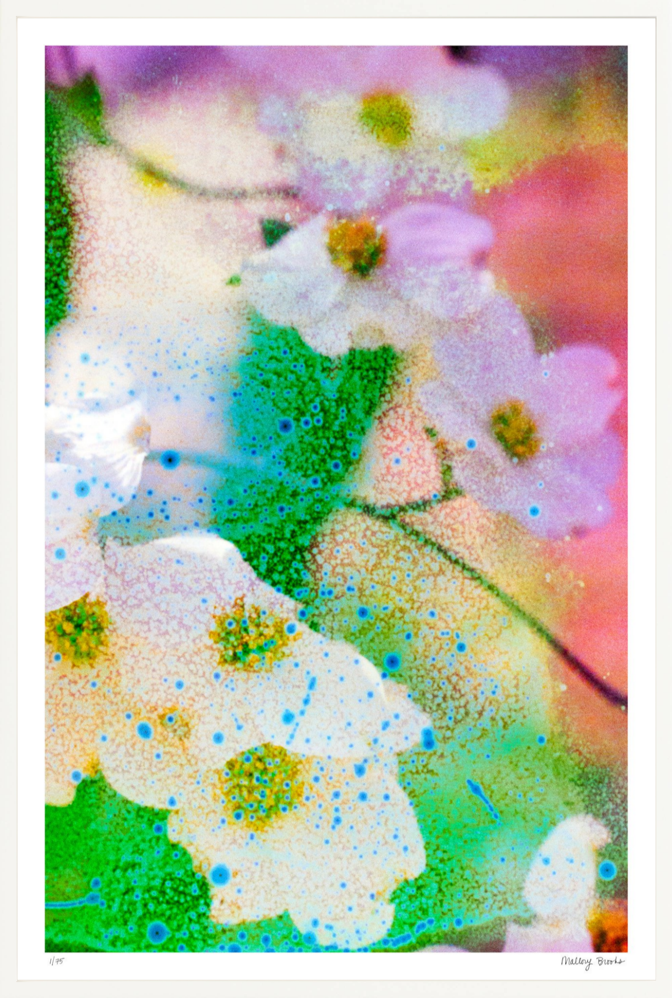 Electric Dogwoods No. 4