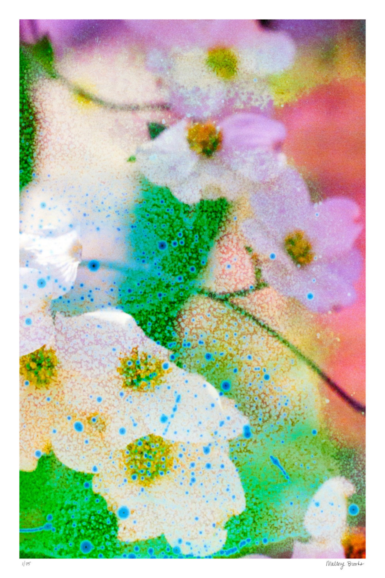 Electric Dogwoods No. 4