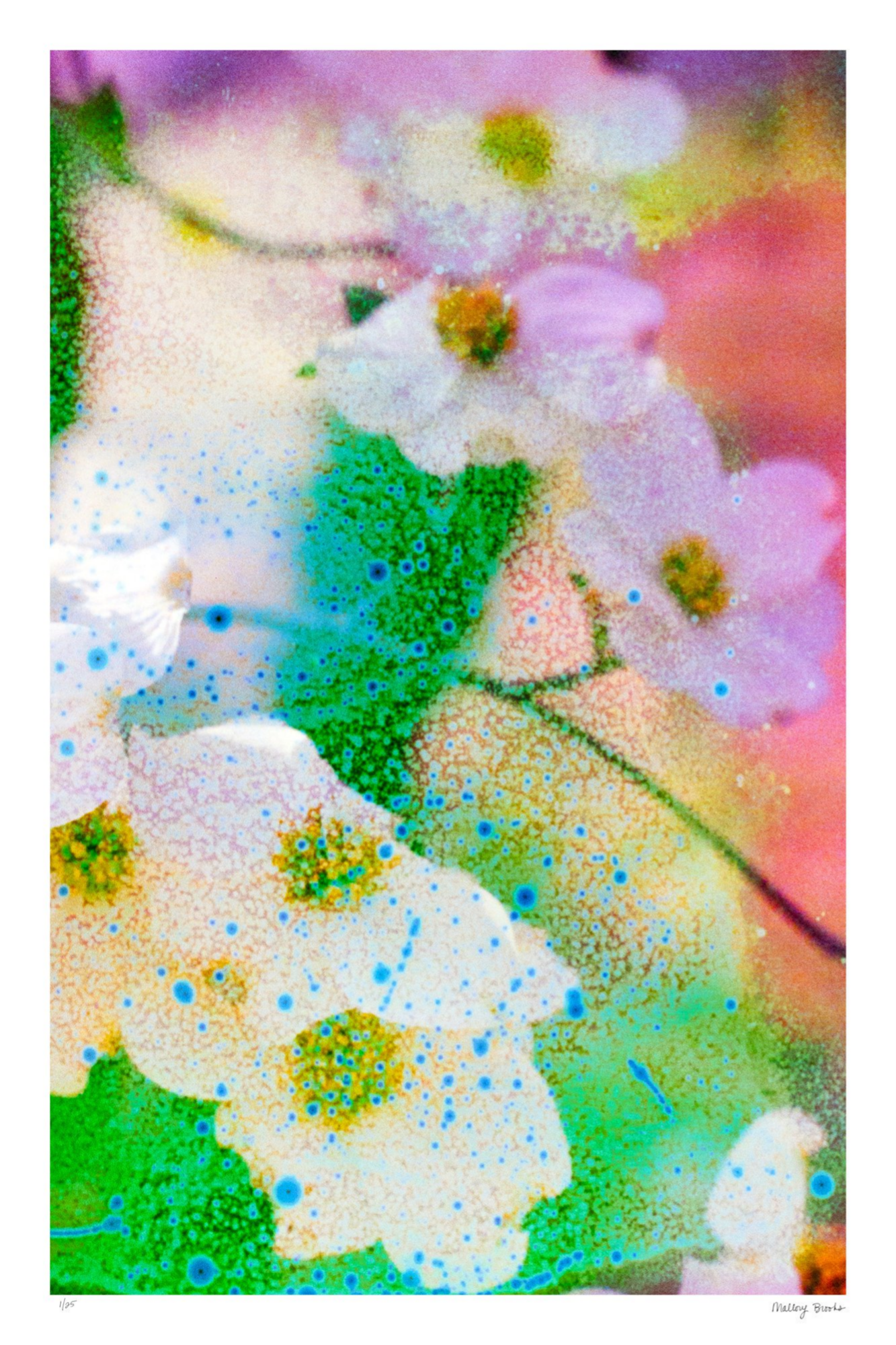 Electric Dogwoods No. 4