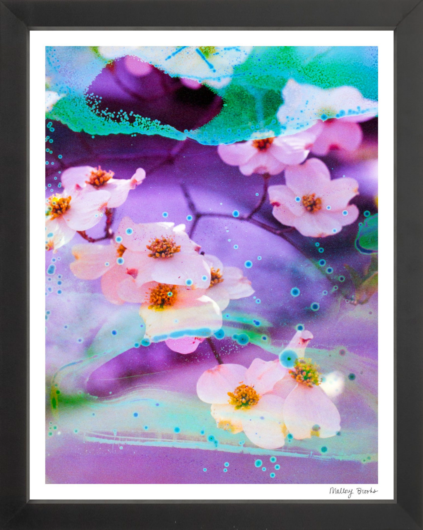 Electric Dogwoods No. 5