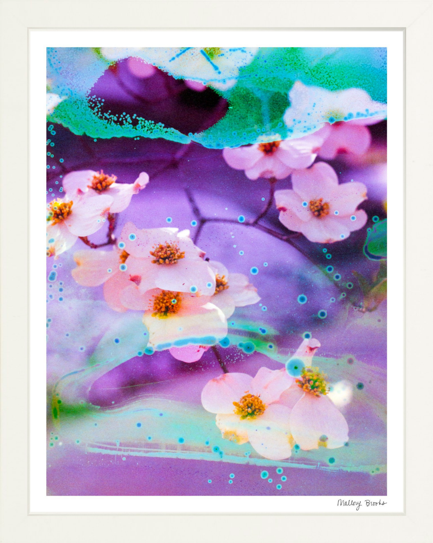 Electric Dogwoods No. 5
