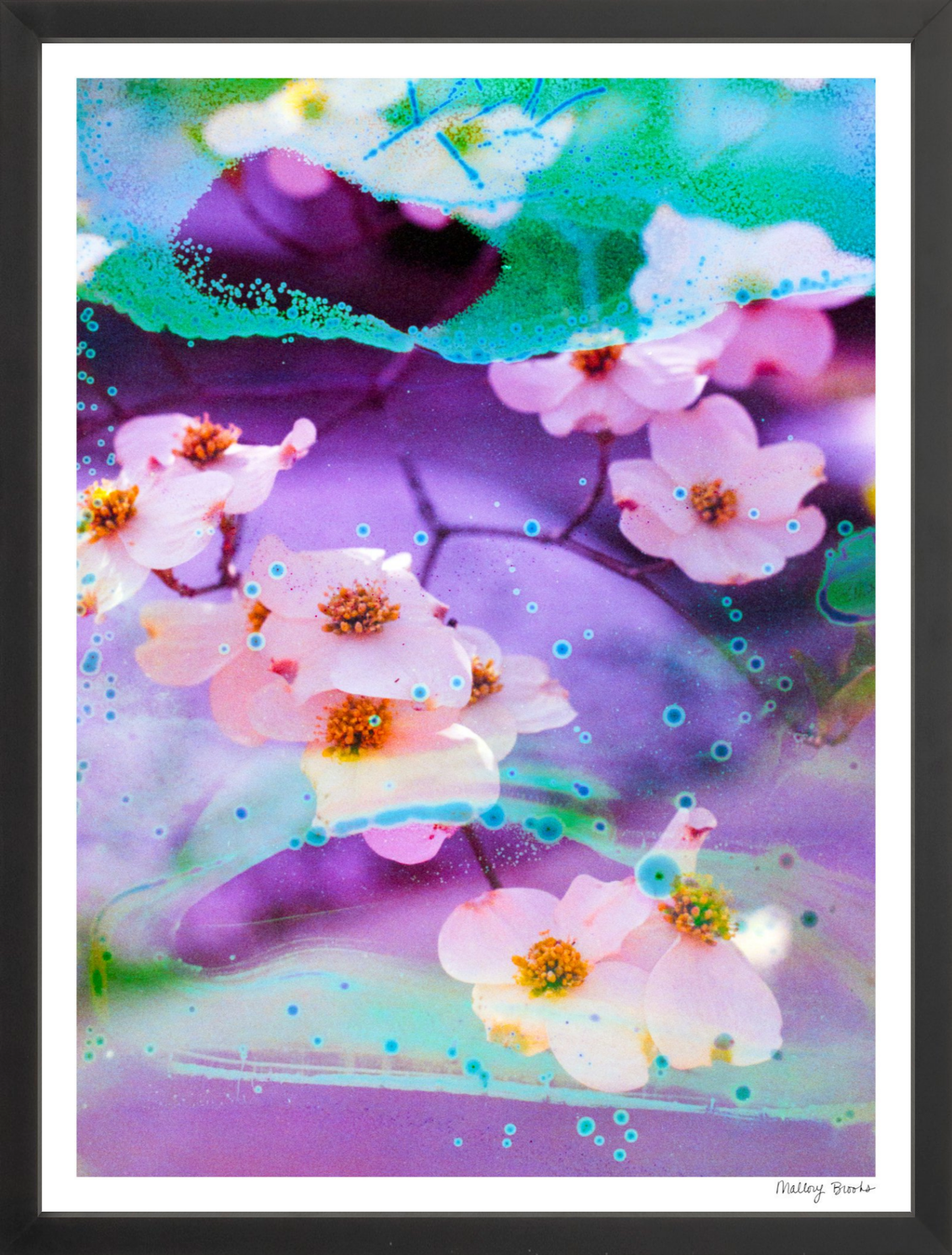 Electric Dogwoods No. 5