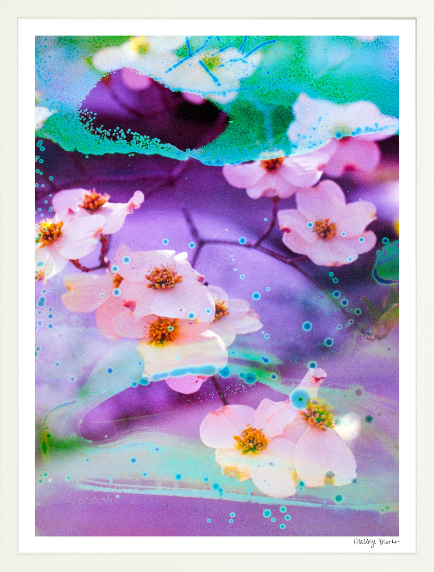 Electric Dogwoods No. 5