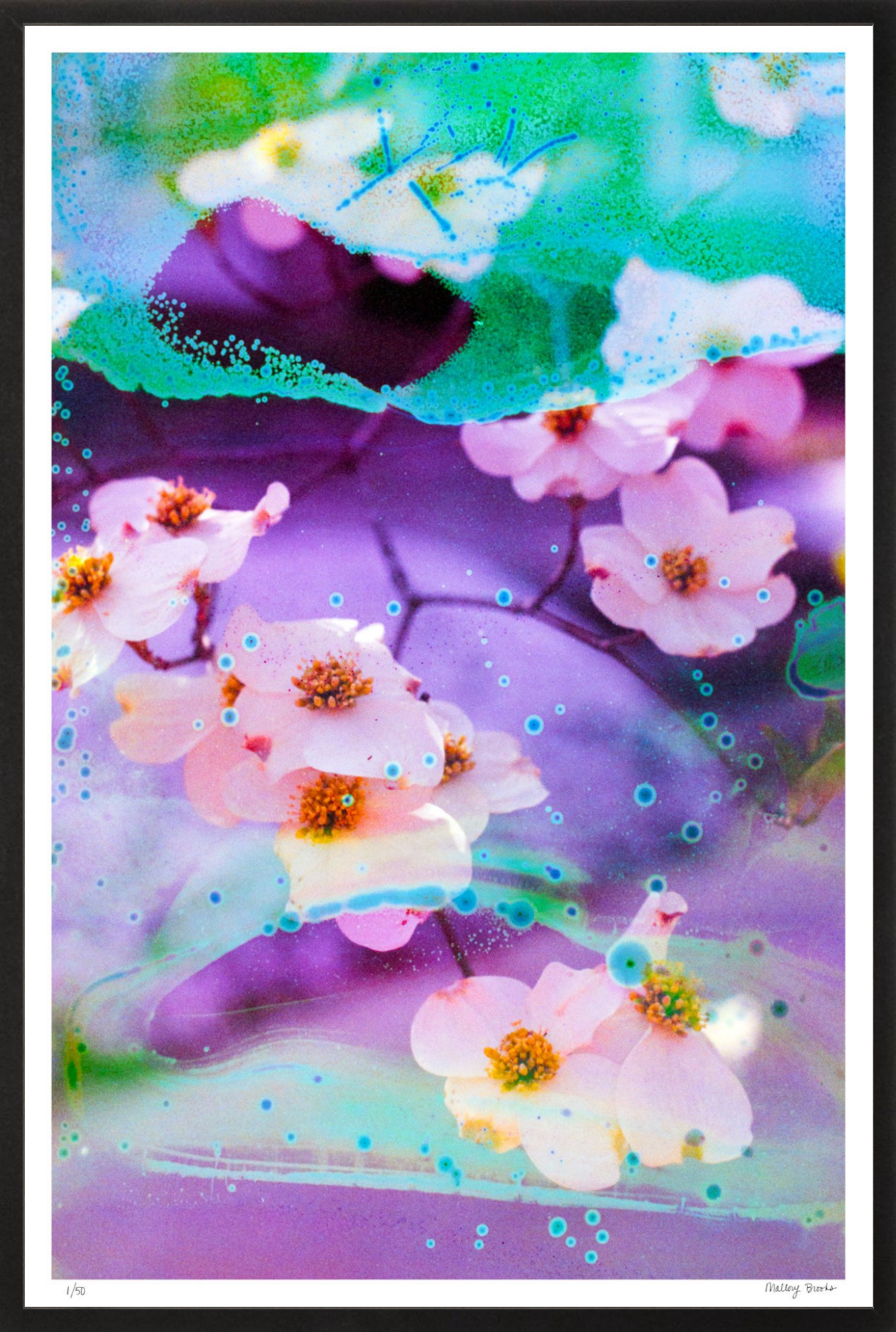 Electric Dogwoods No. 5