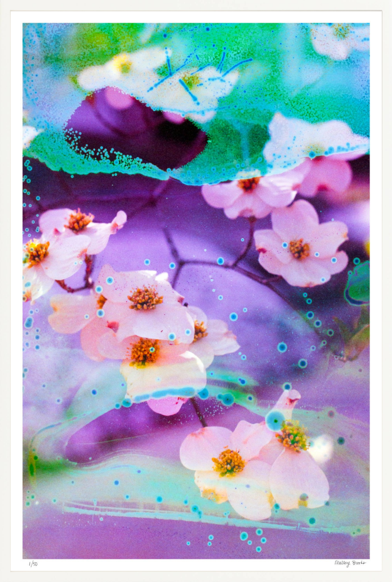 Electric Dogwoods No. 5