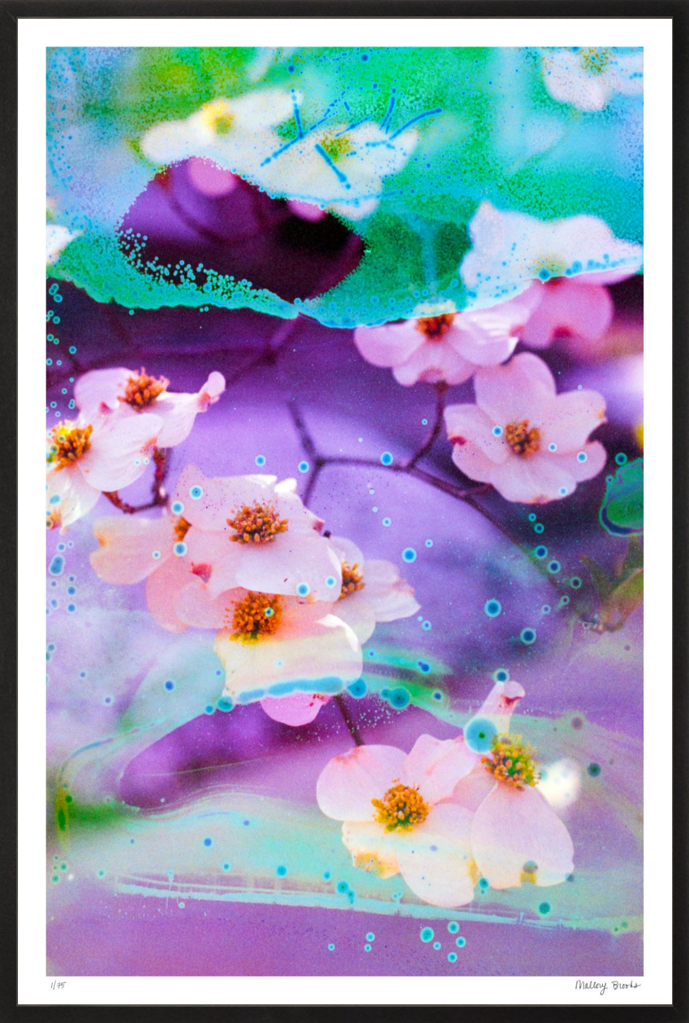 Electric Dogwoods No. 5