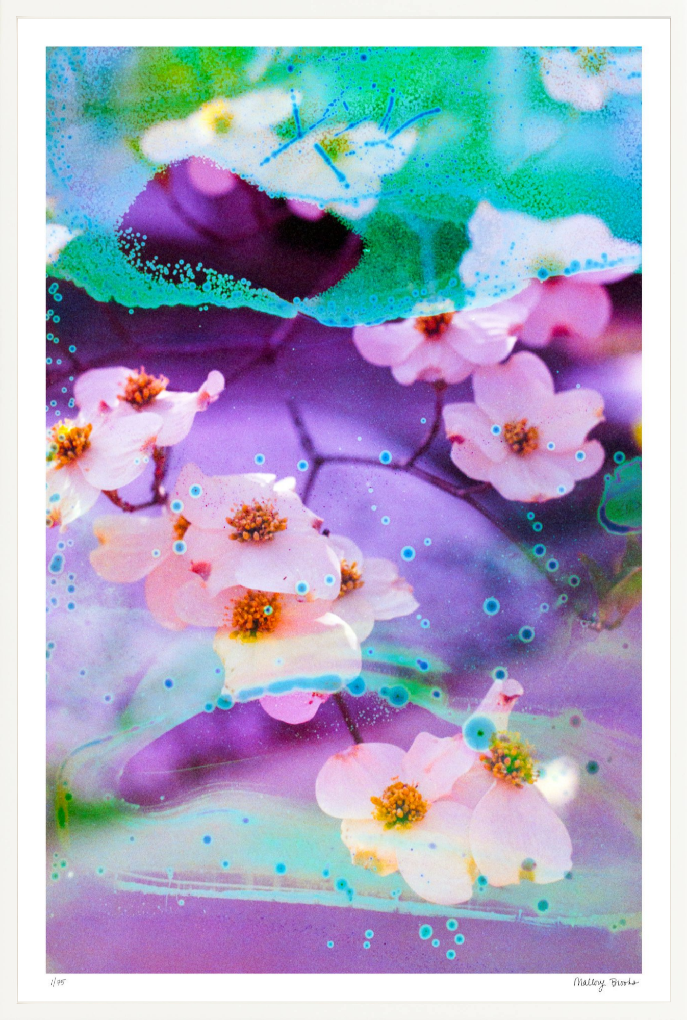 Electric Dogwoods No. 5