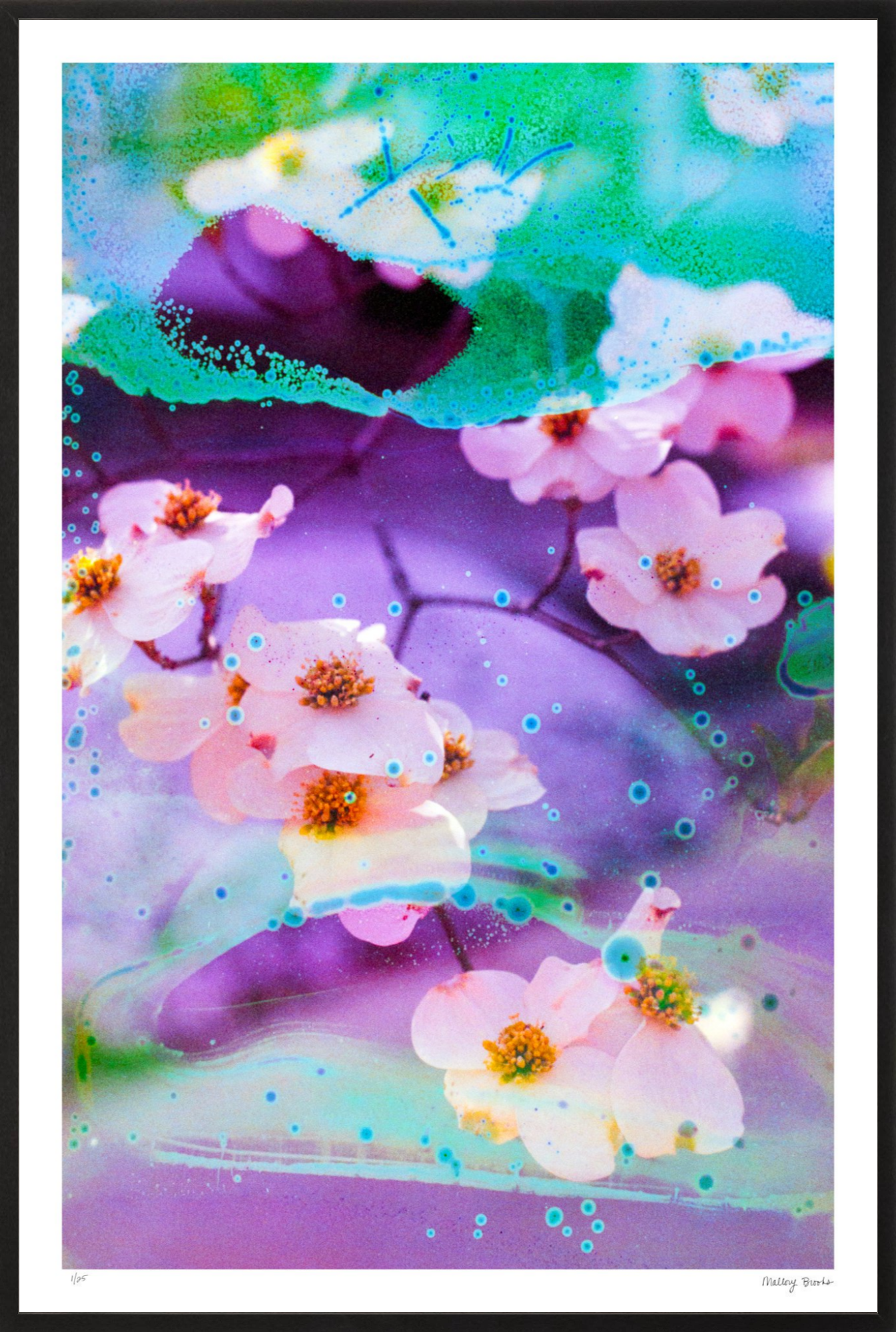 Electric Dogwoods No. 5