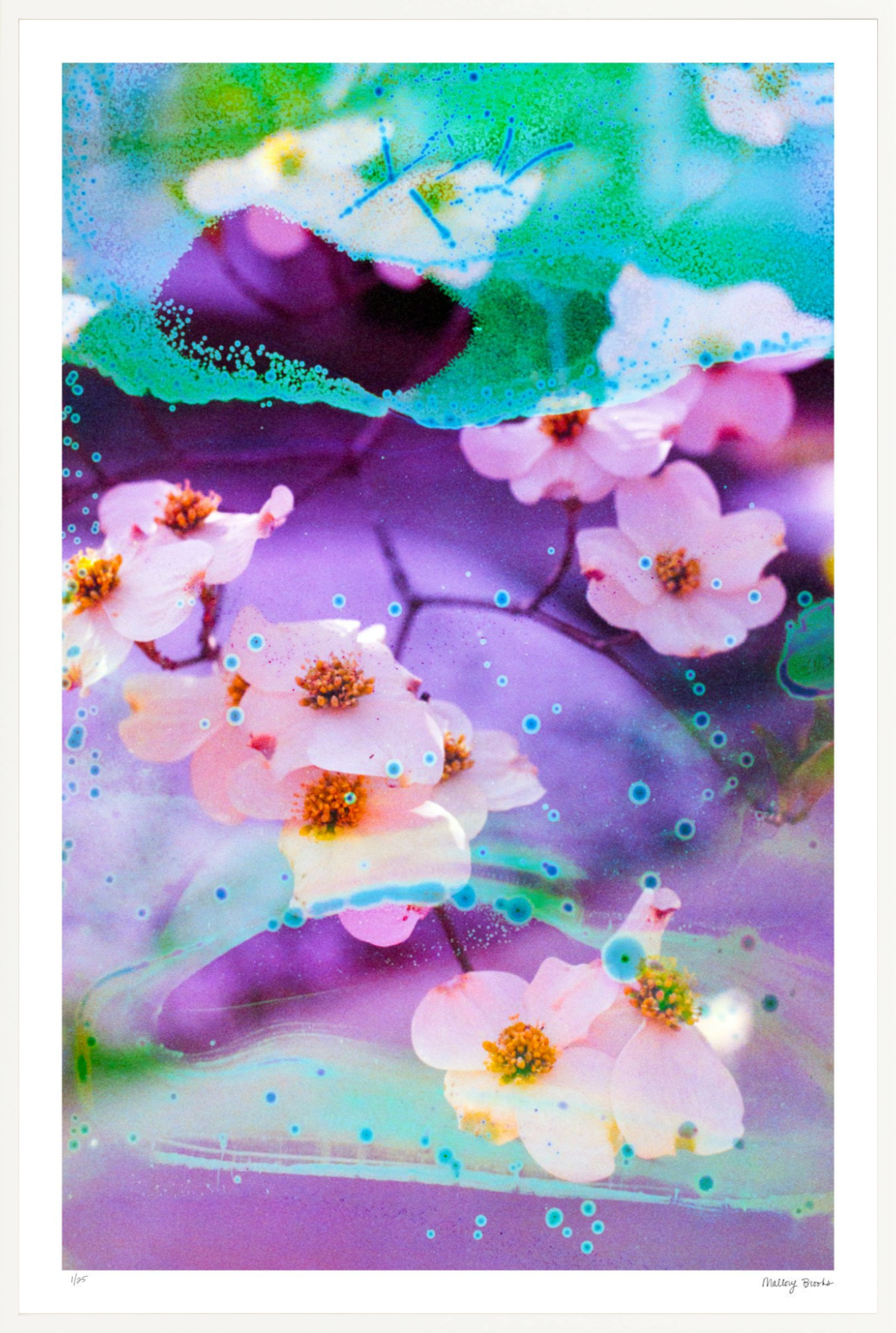 Electric Dogwoods No. 5