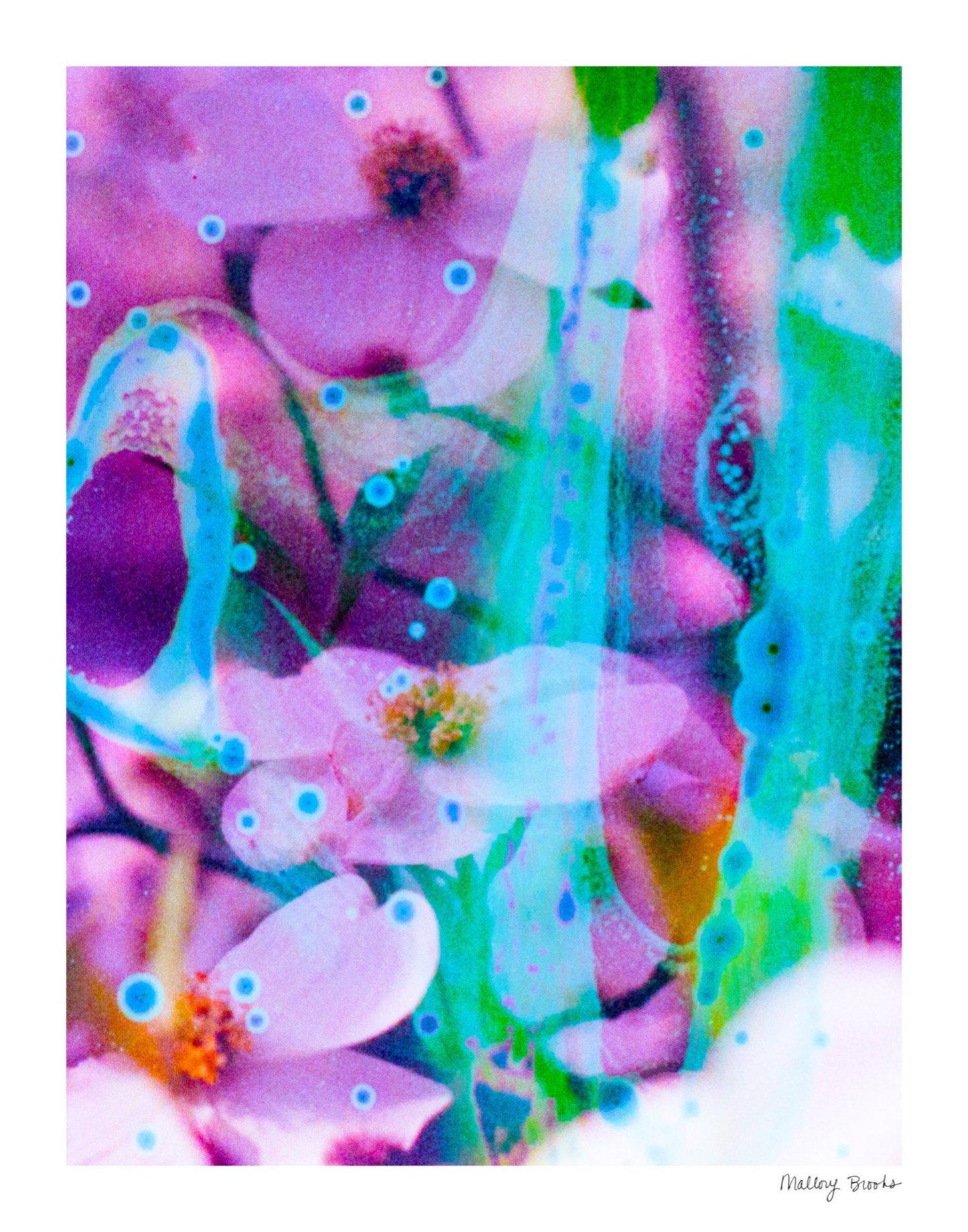 Electric Dogwoods No. 7