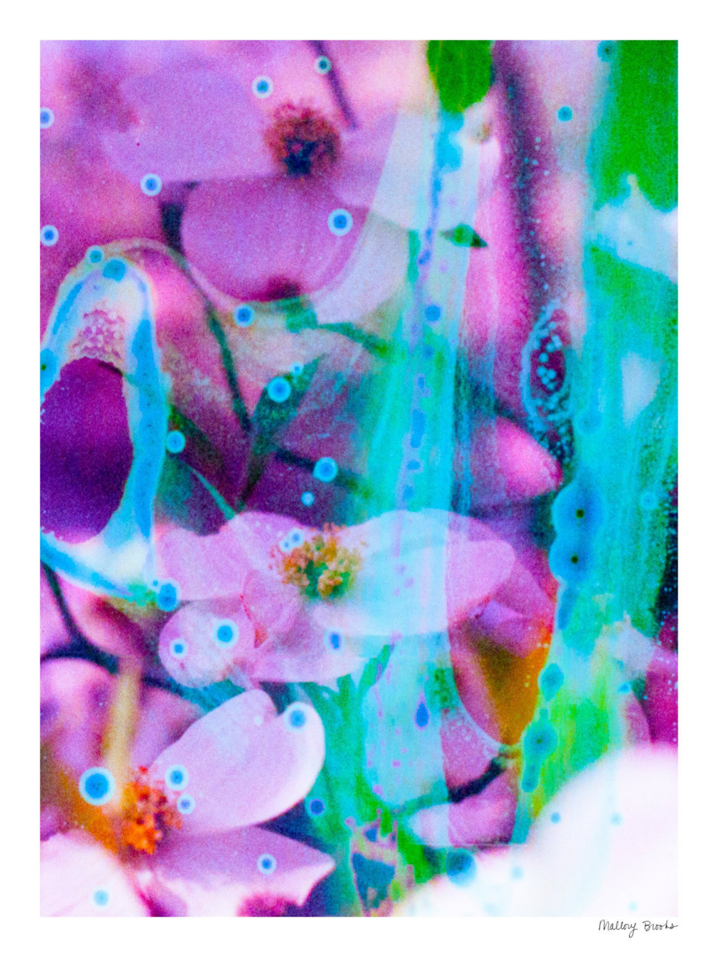 Electric Dogwoods No. 7