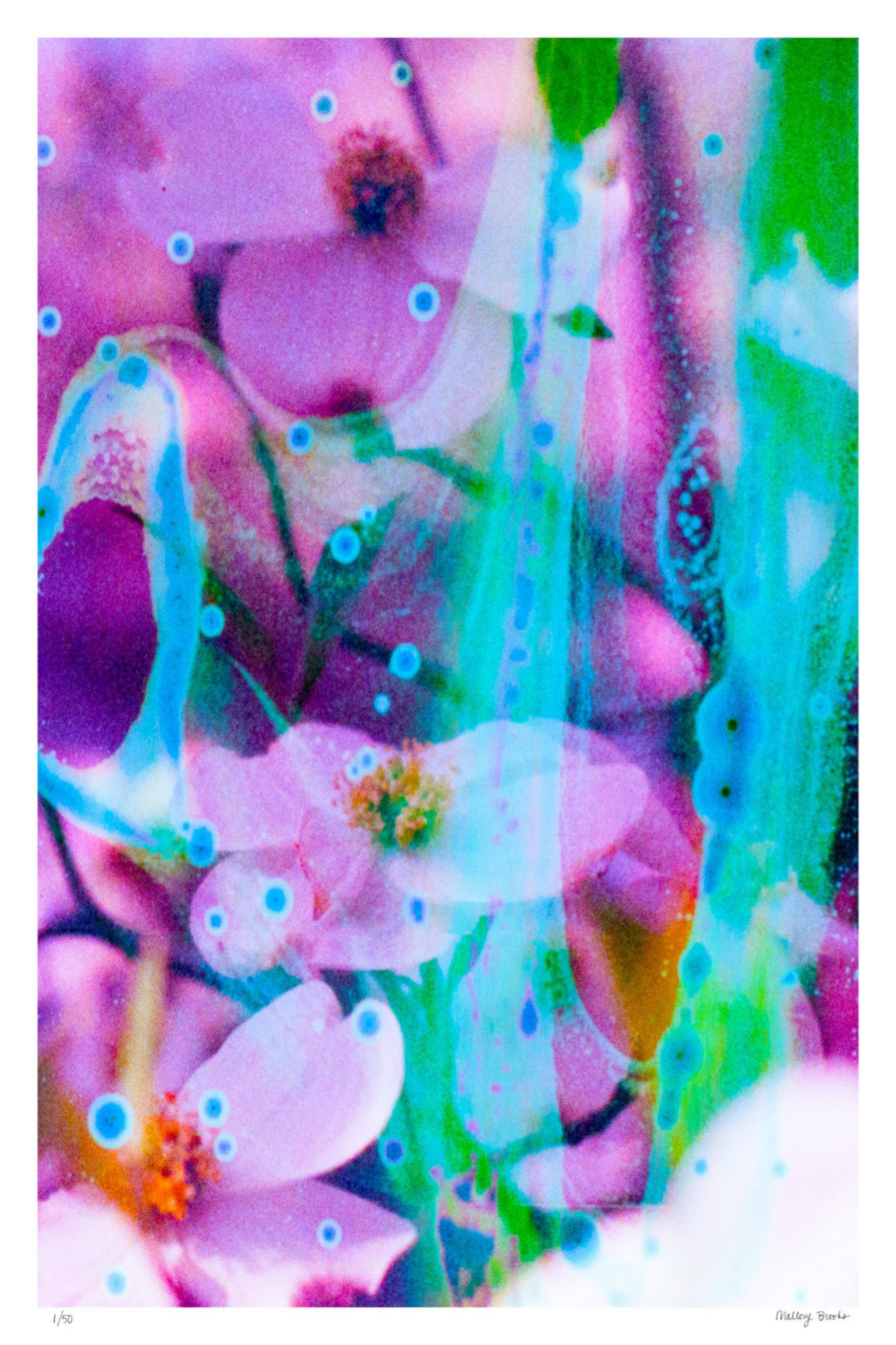 Electric Dogwoods No. 7