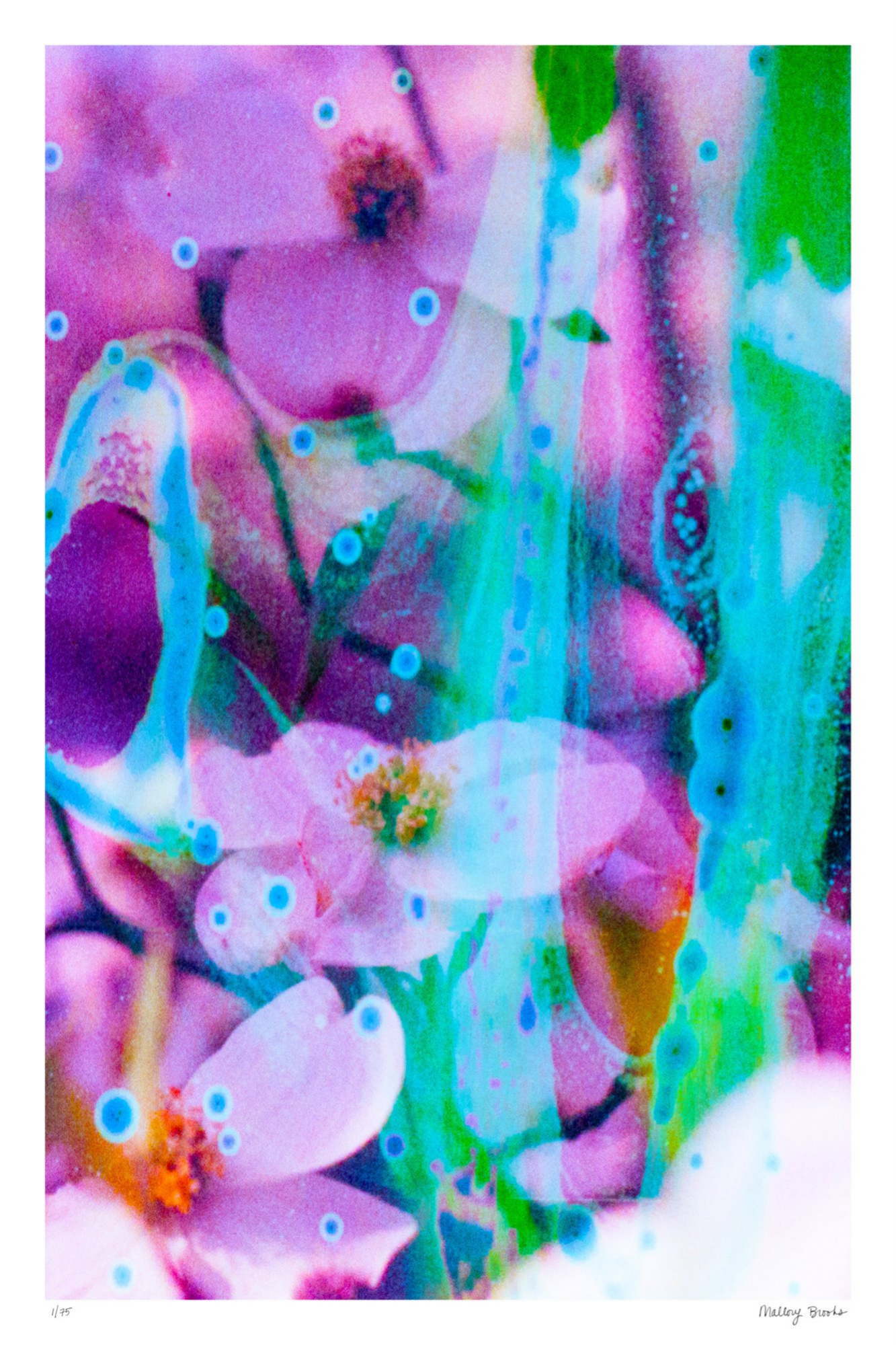 Electric Dogwoods No. 7