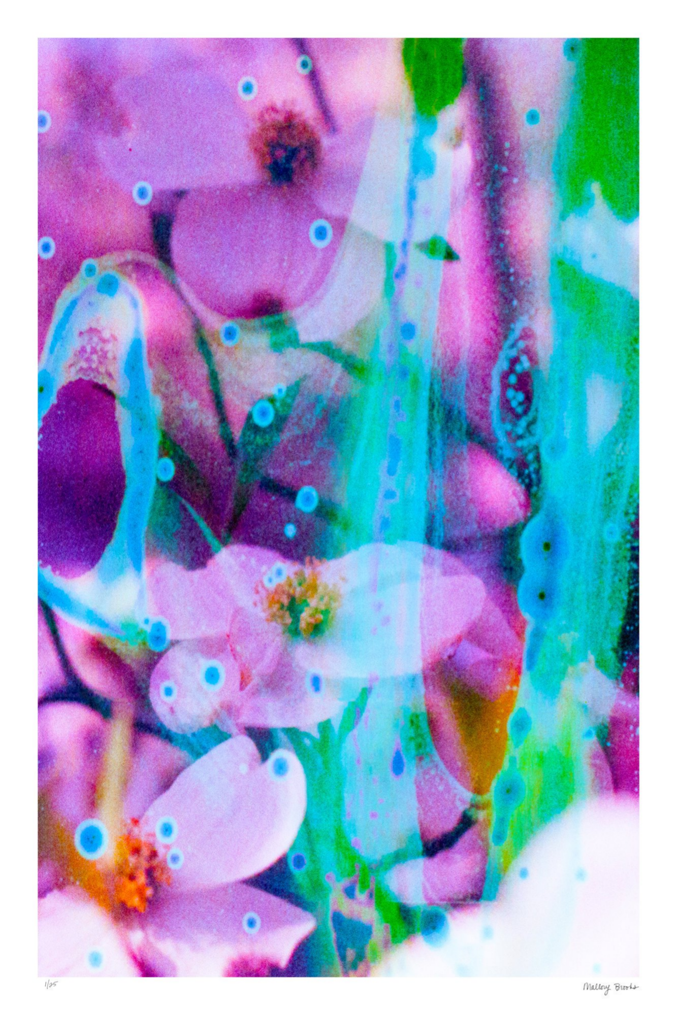 Electric Dogwoods No. 7