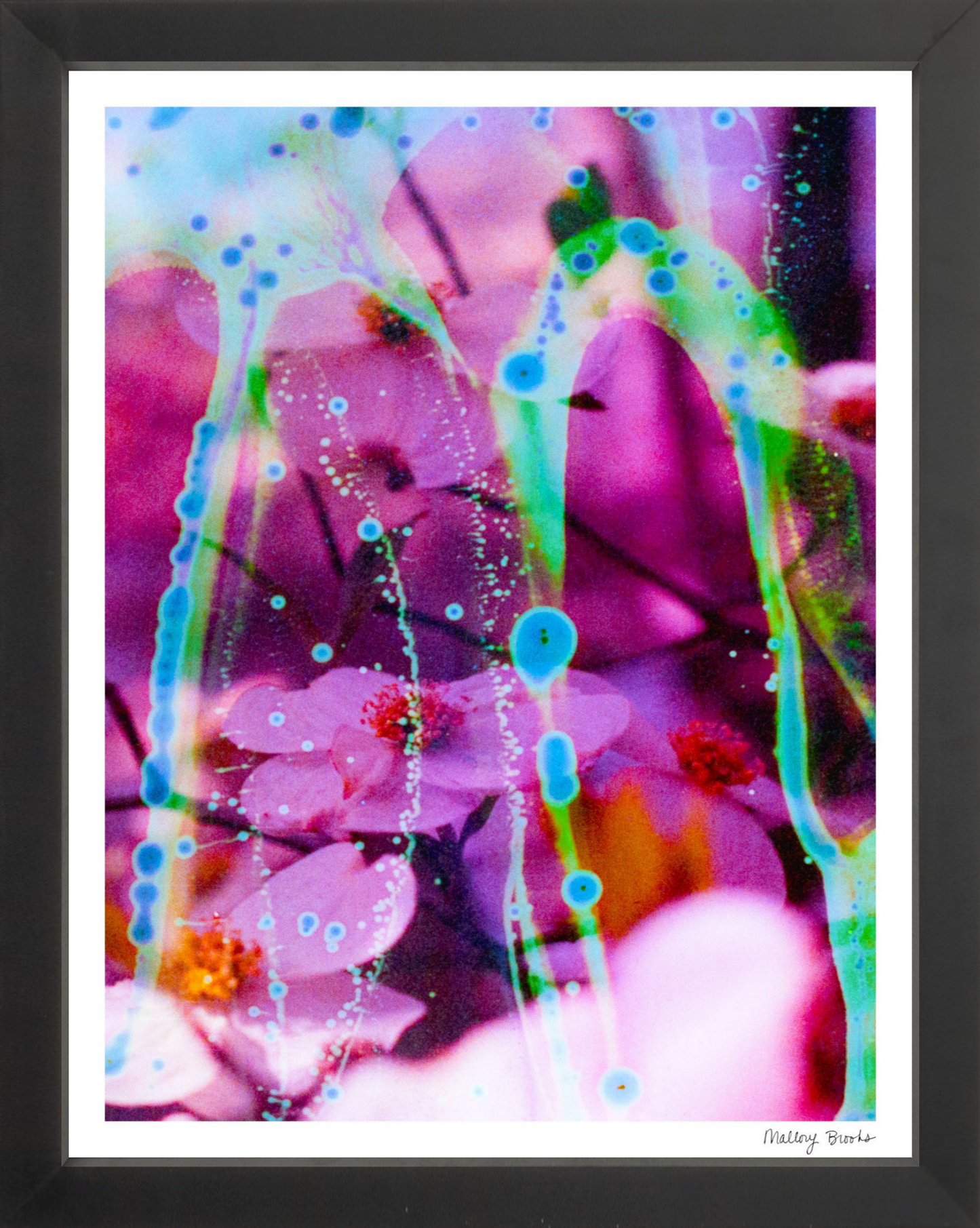 Electric Dogwoods No. 8