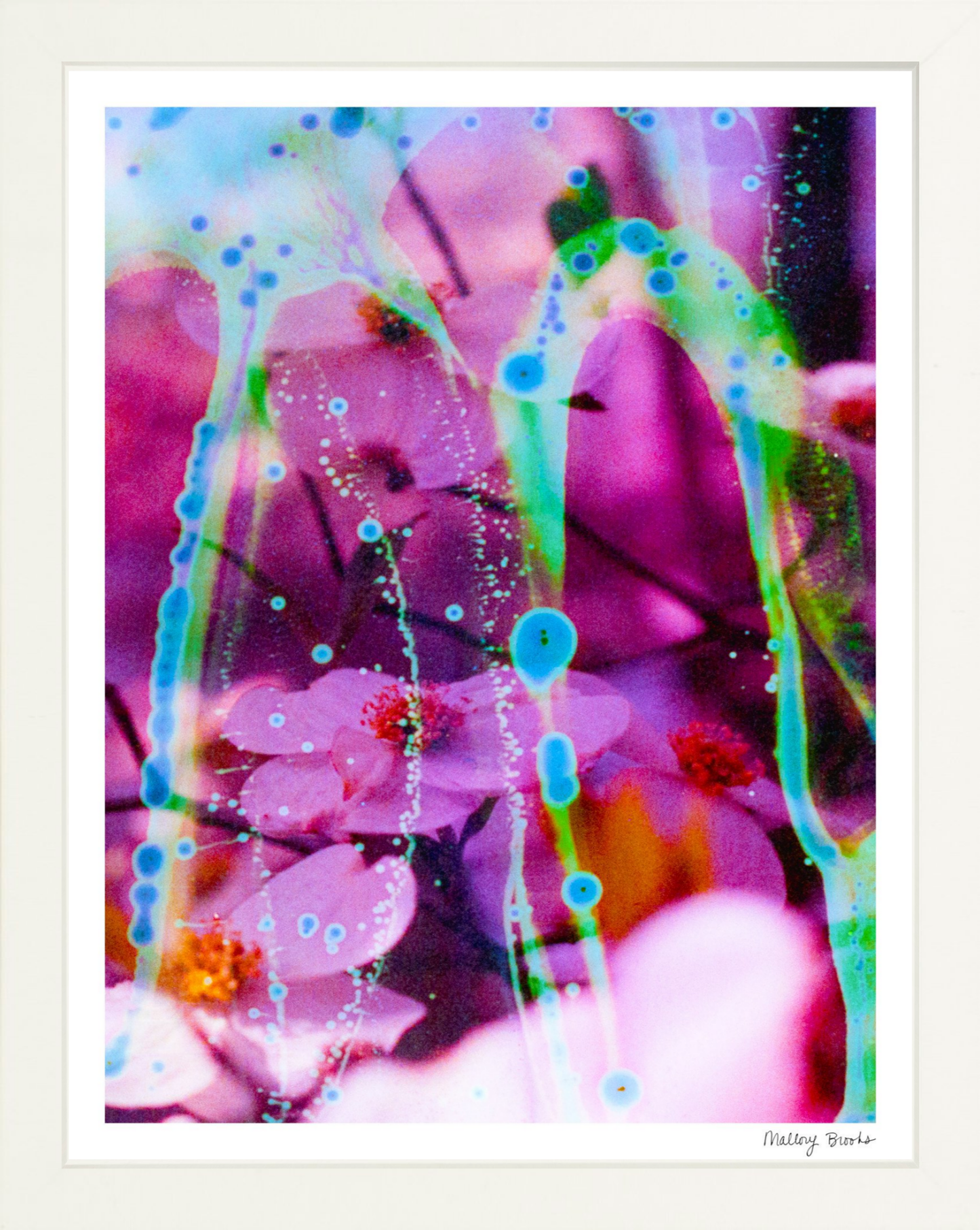 Electric Dogwoods No. 8