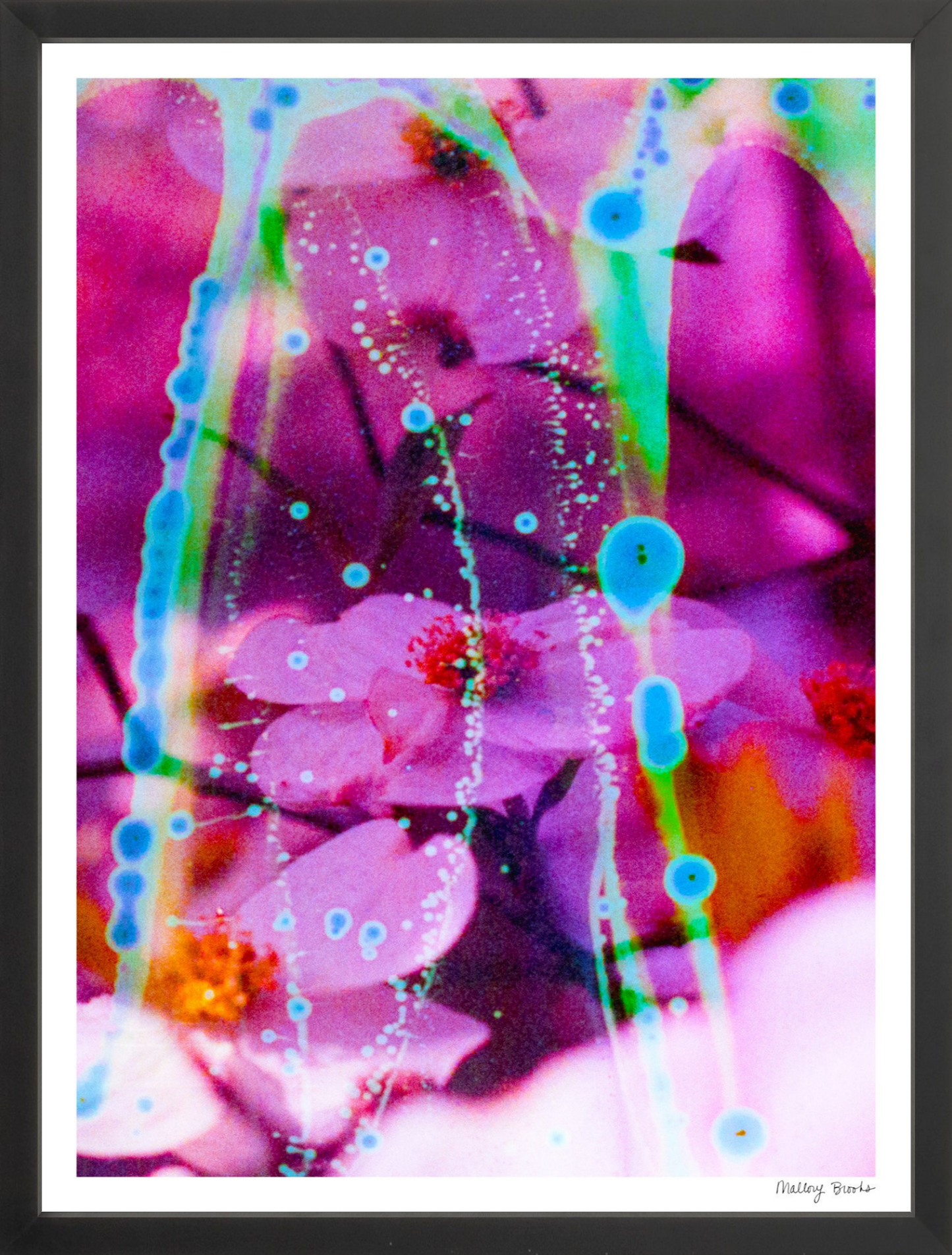 Electric Dogwoods No. 8