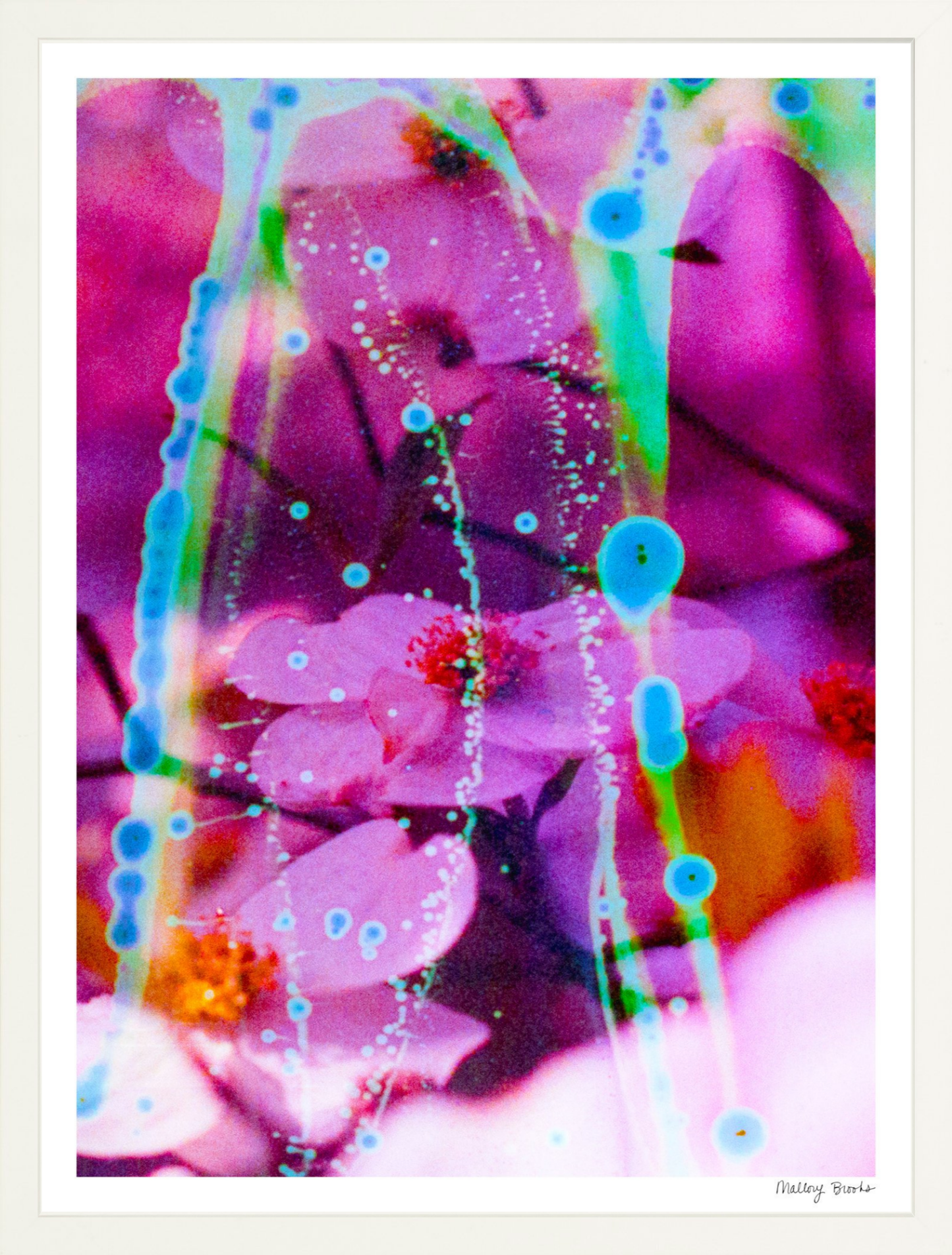 Electric Dogwoods No. 8