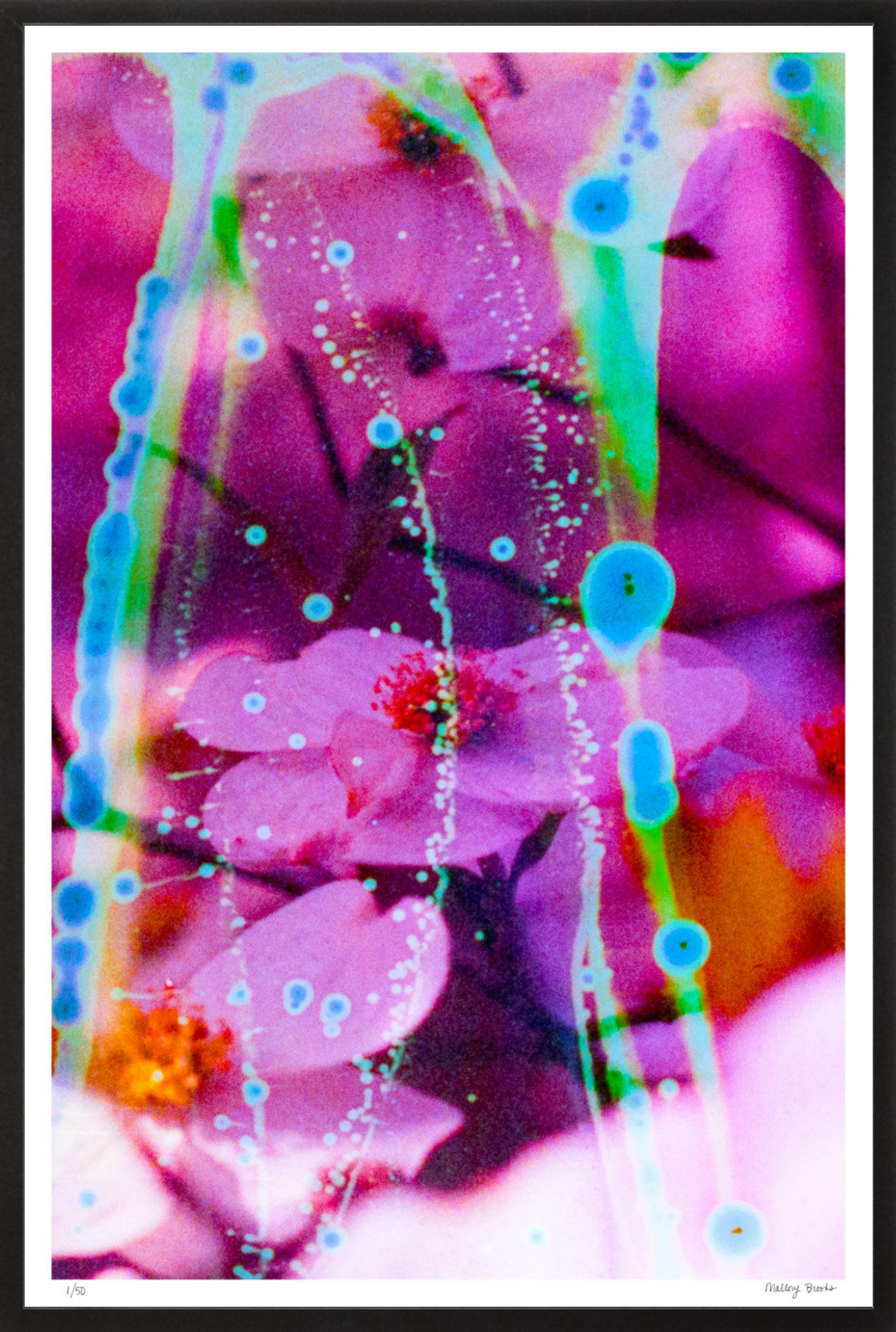 Electric Dogwoods No. 8