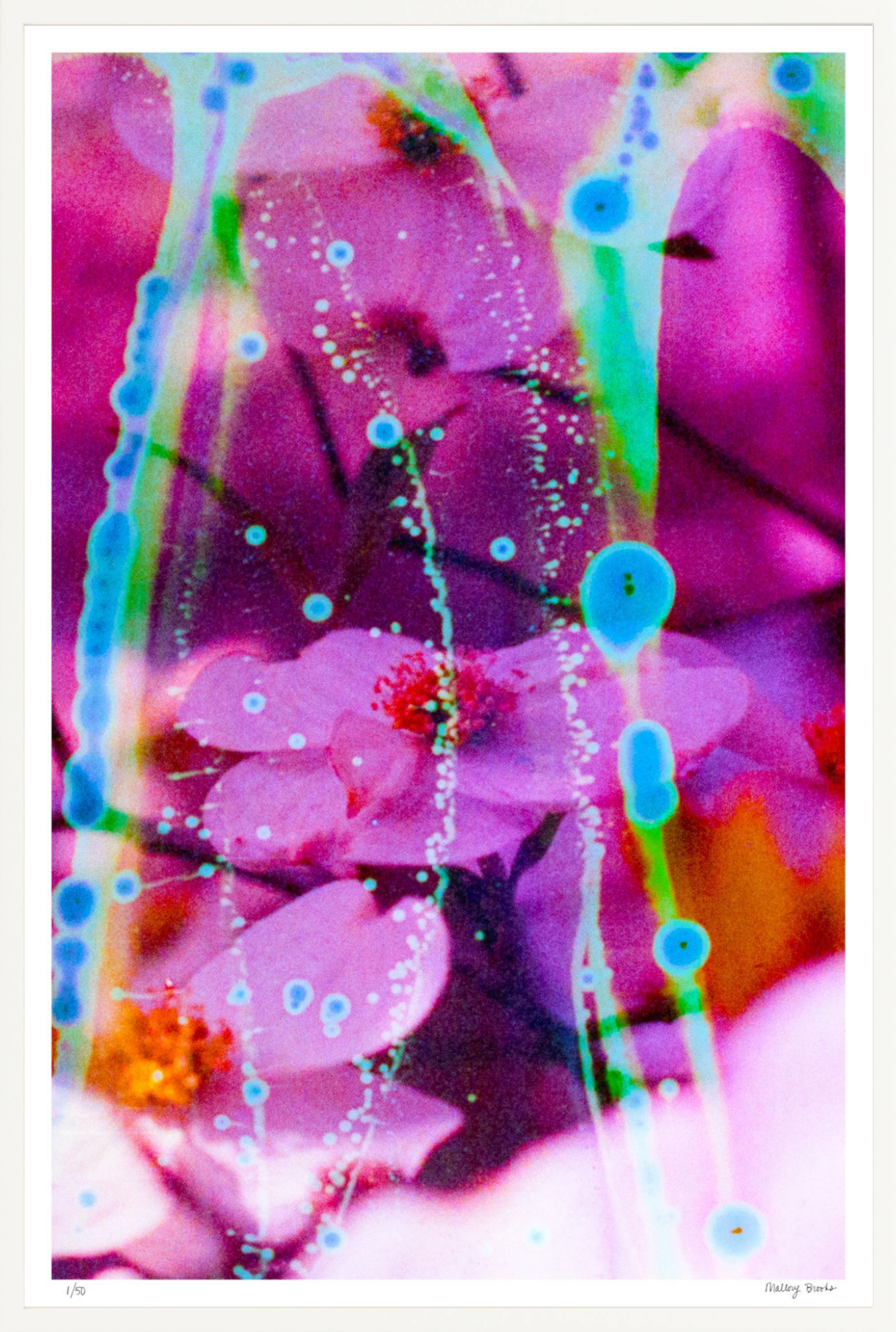 Electric Dogwoods No. 8