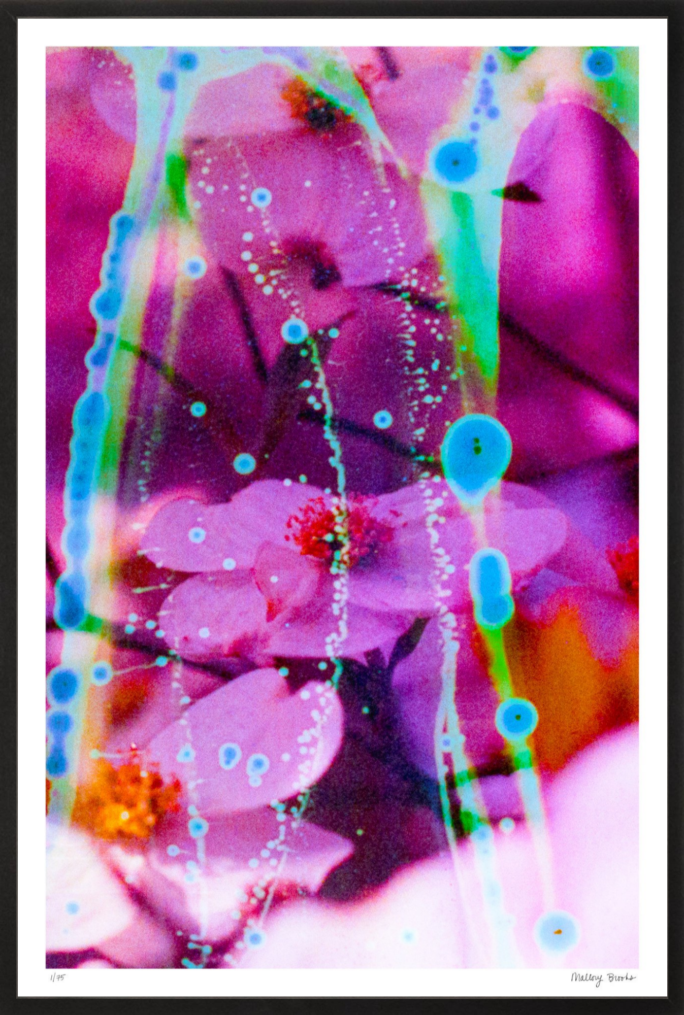 Electric Dogwoods No. 8