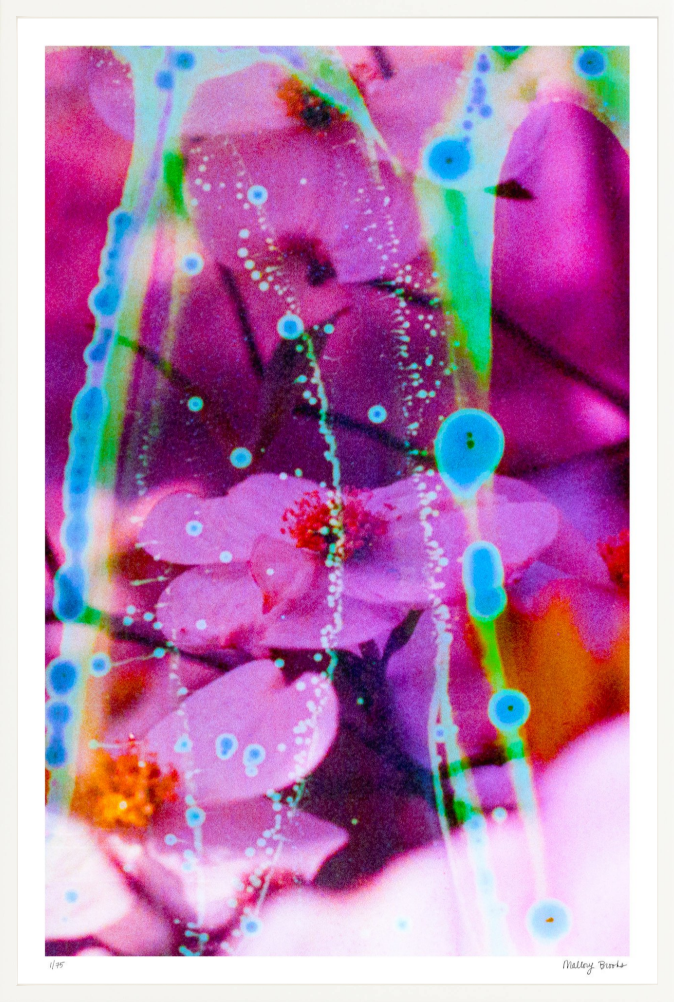 Electric Dogwoods No. 8