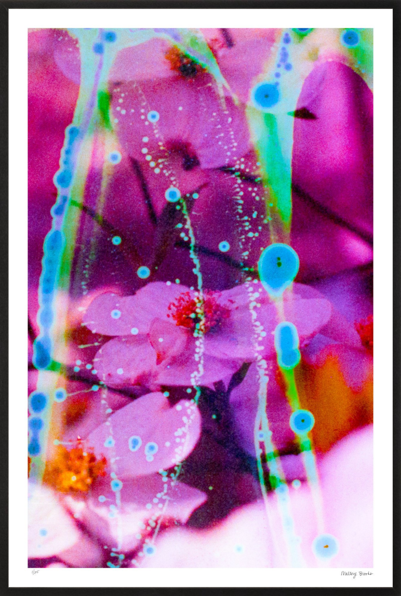 Electric Dogwoods No. 8
