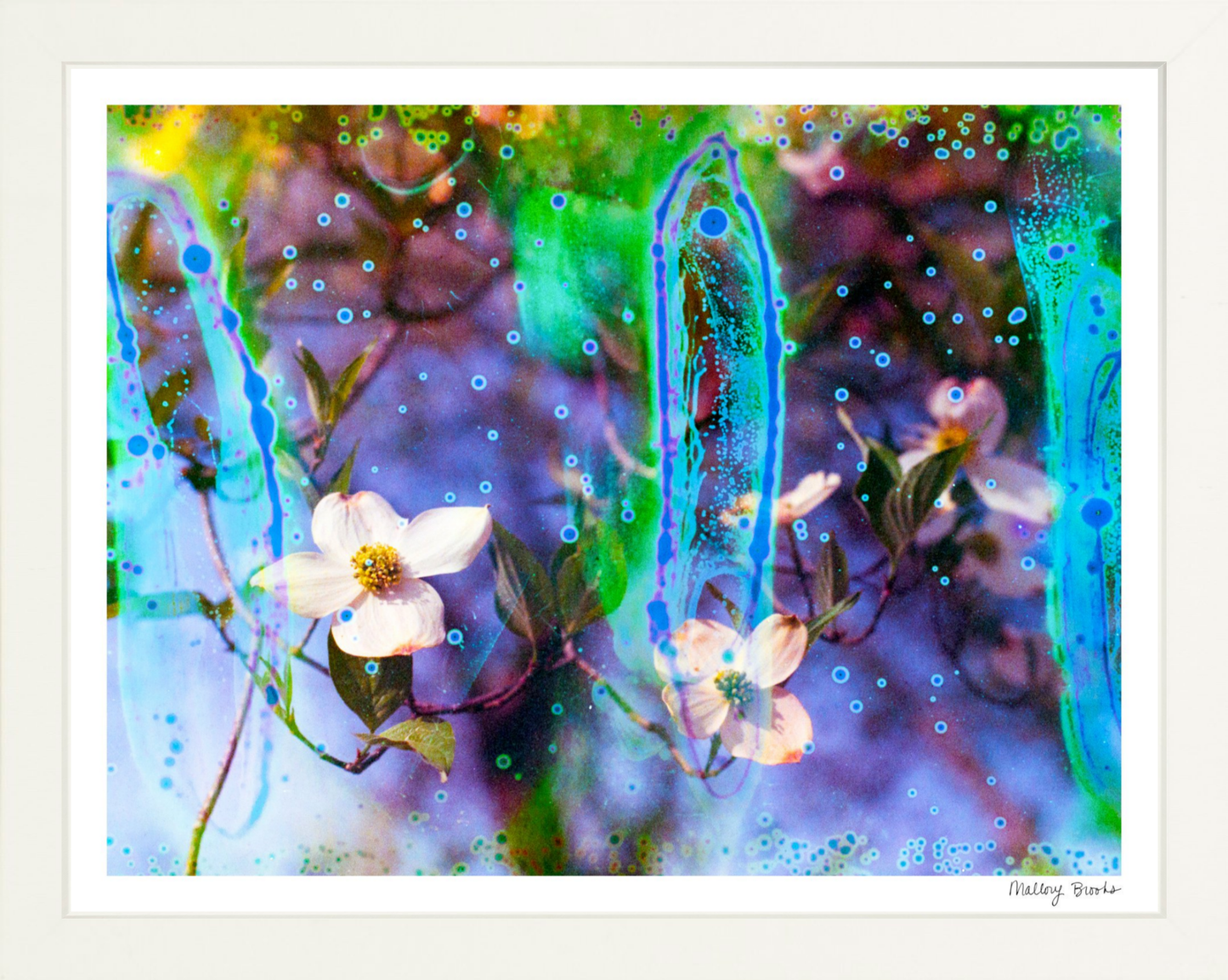 Electric Dogwoods No. 9