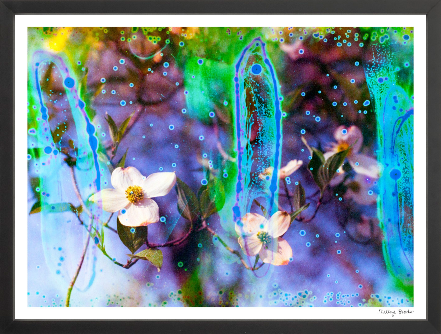 Electric Dogwoods No. 9