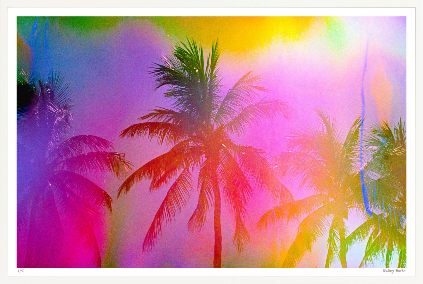 Electric Paradise No. 1