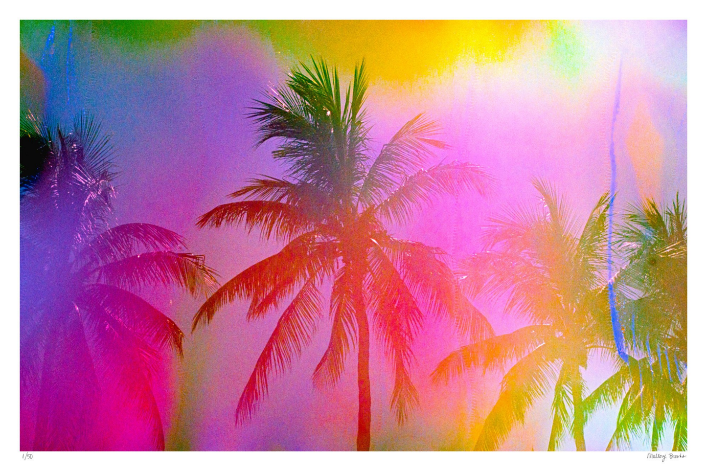 Electric Paradise No. 1