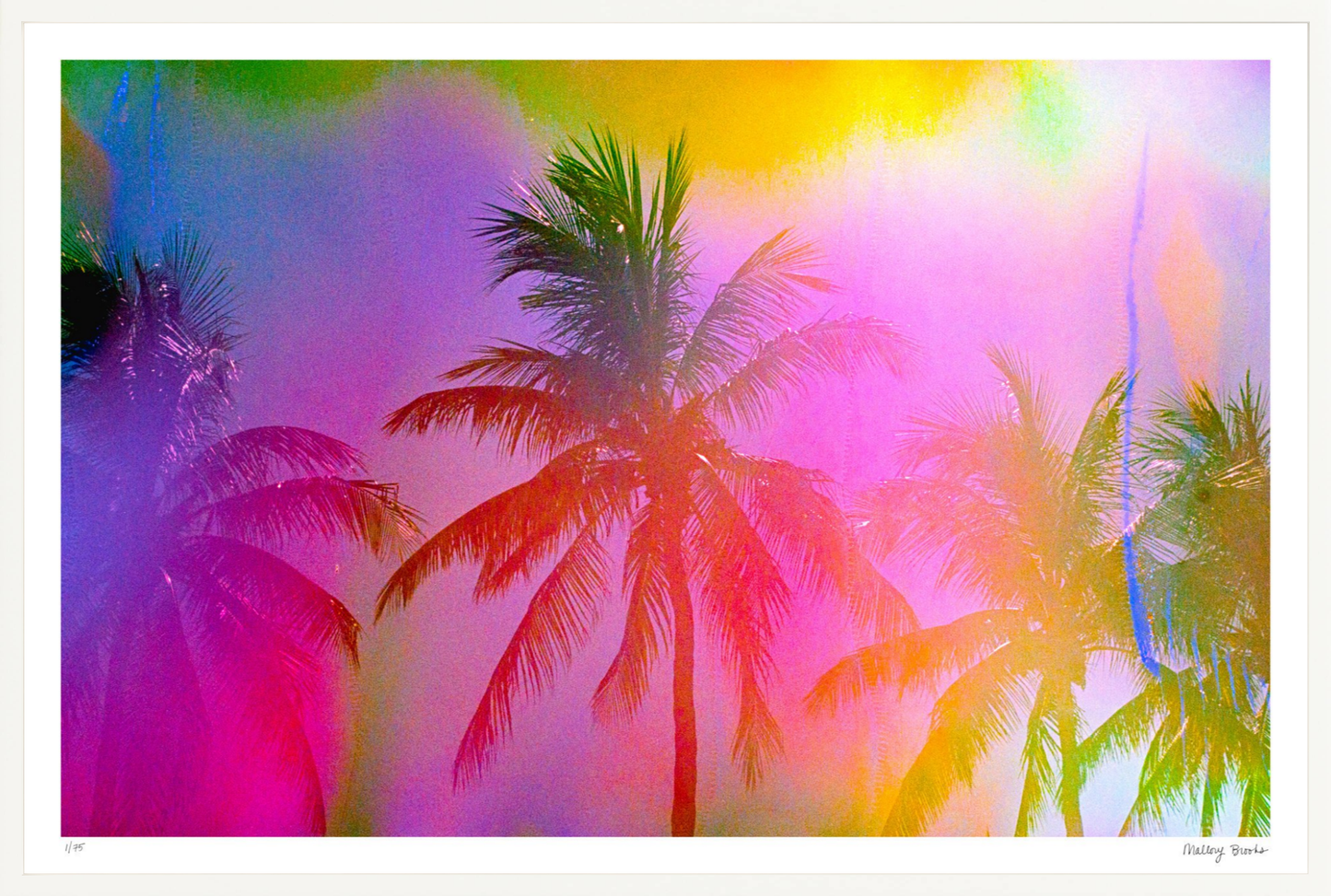 Electric Paradise No. 1