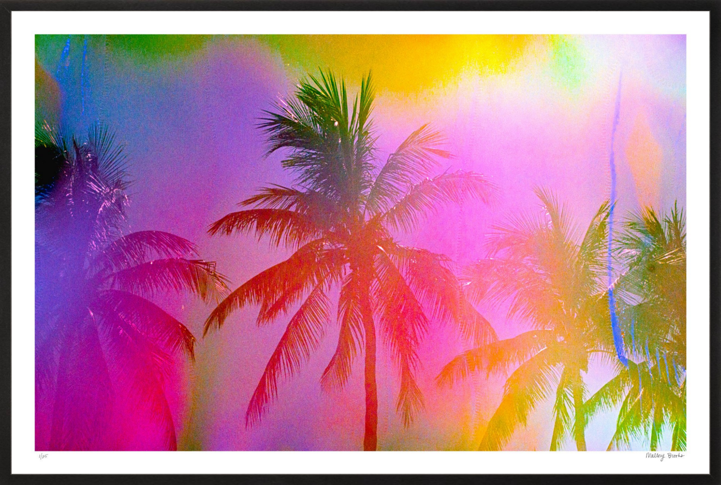 Electric Paradise No. 1