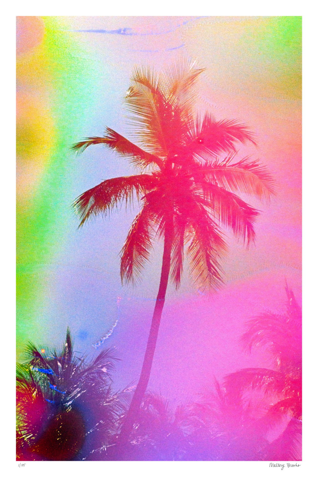 Electric Paradise No. 2