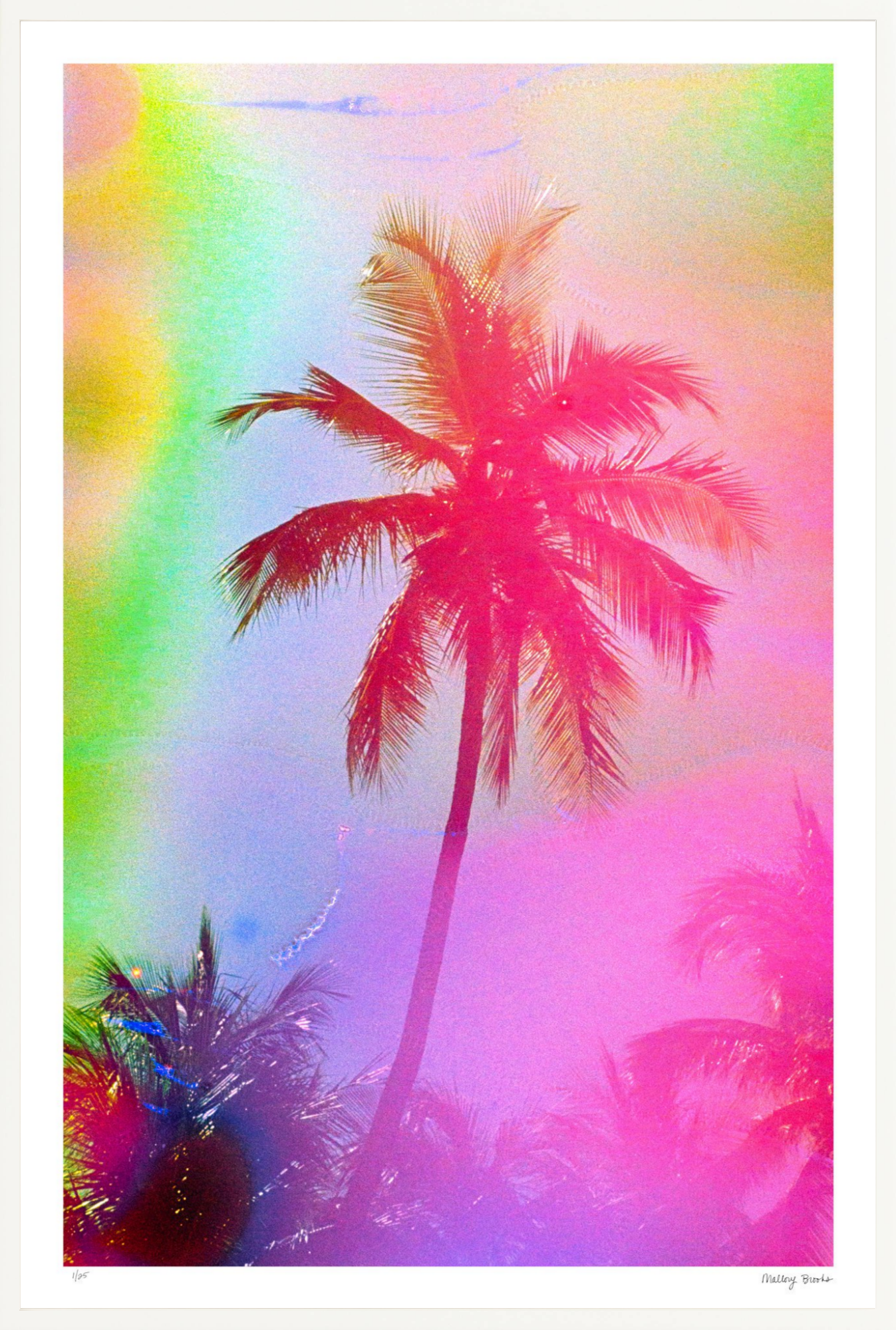 Electric Paradise No. 2