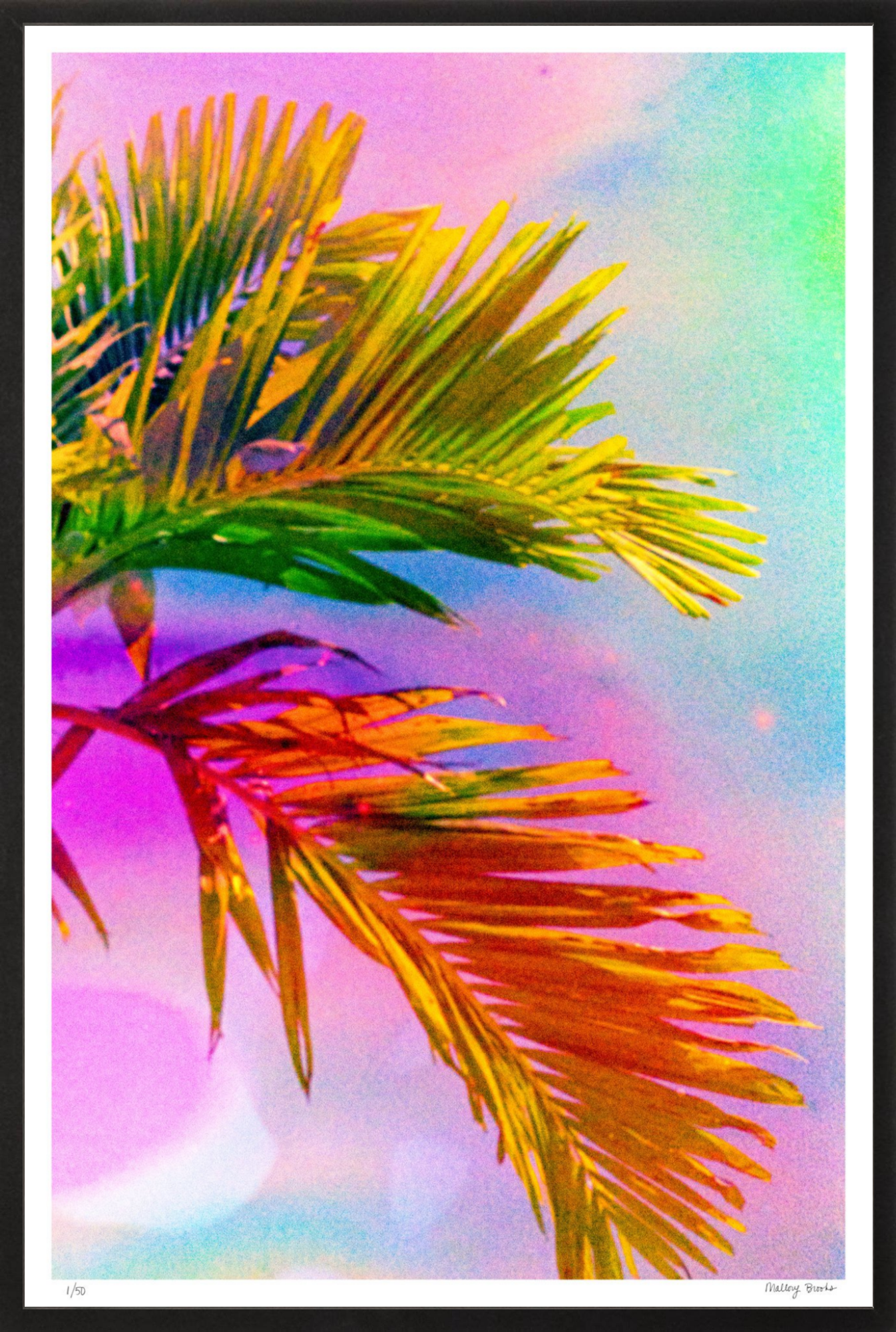 Electric Paradise No. 3