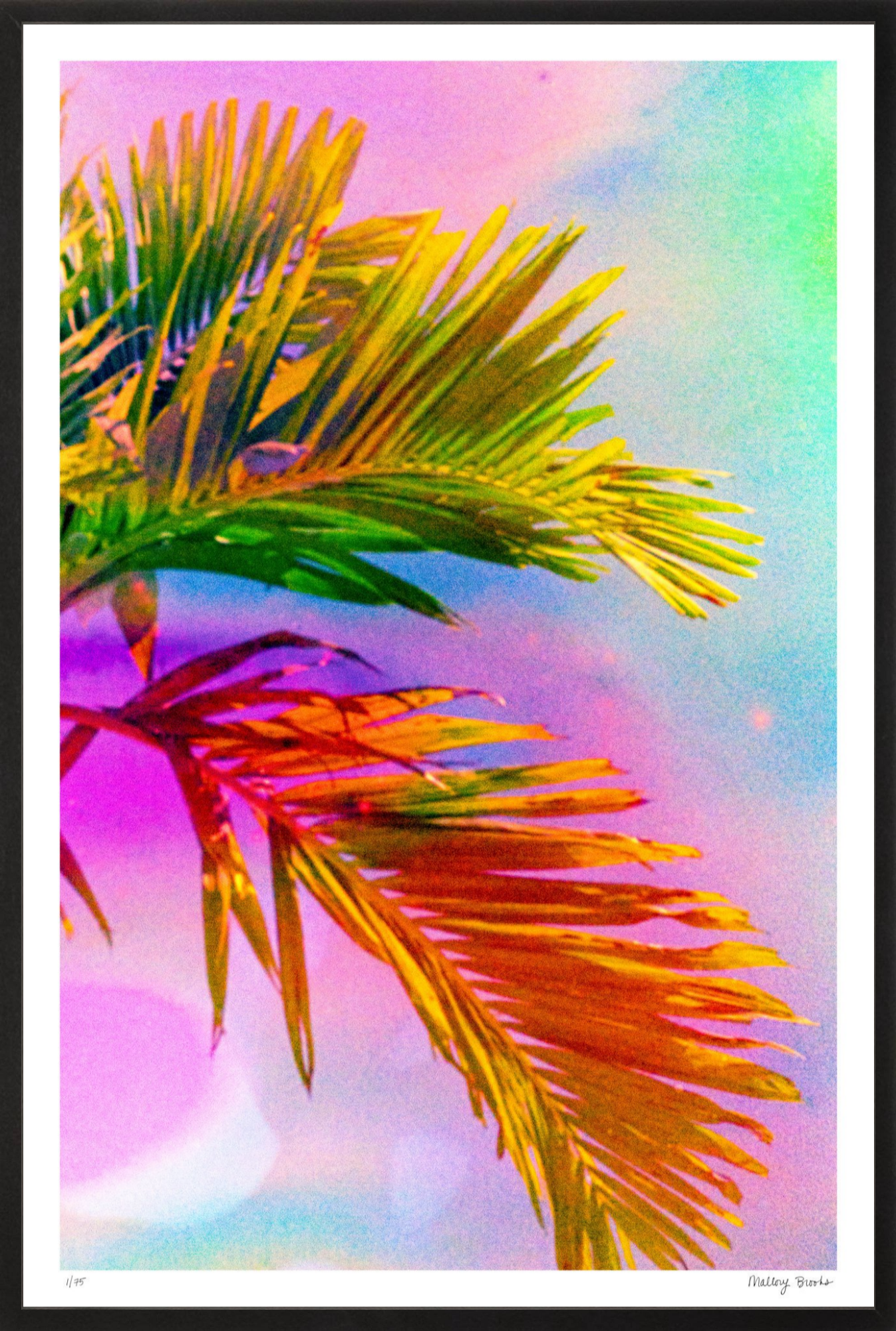 Electric Paradise No. 3