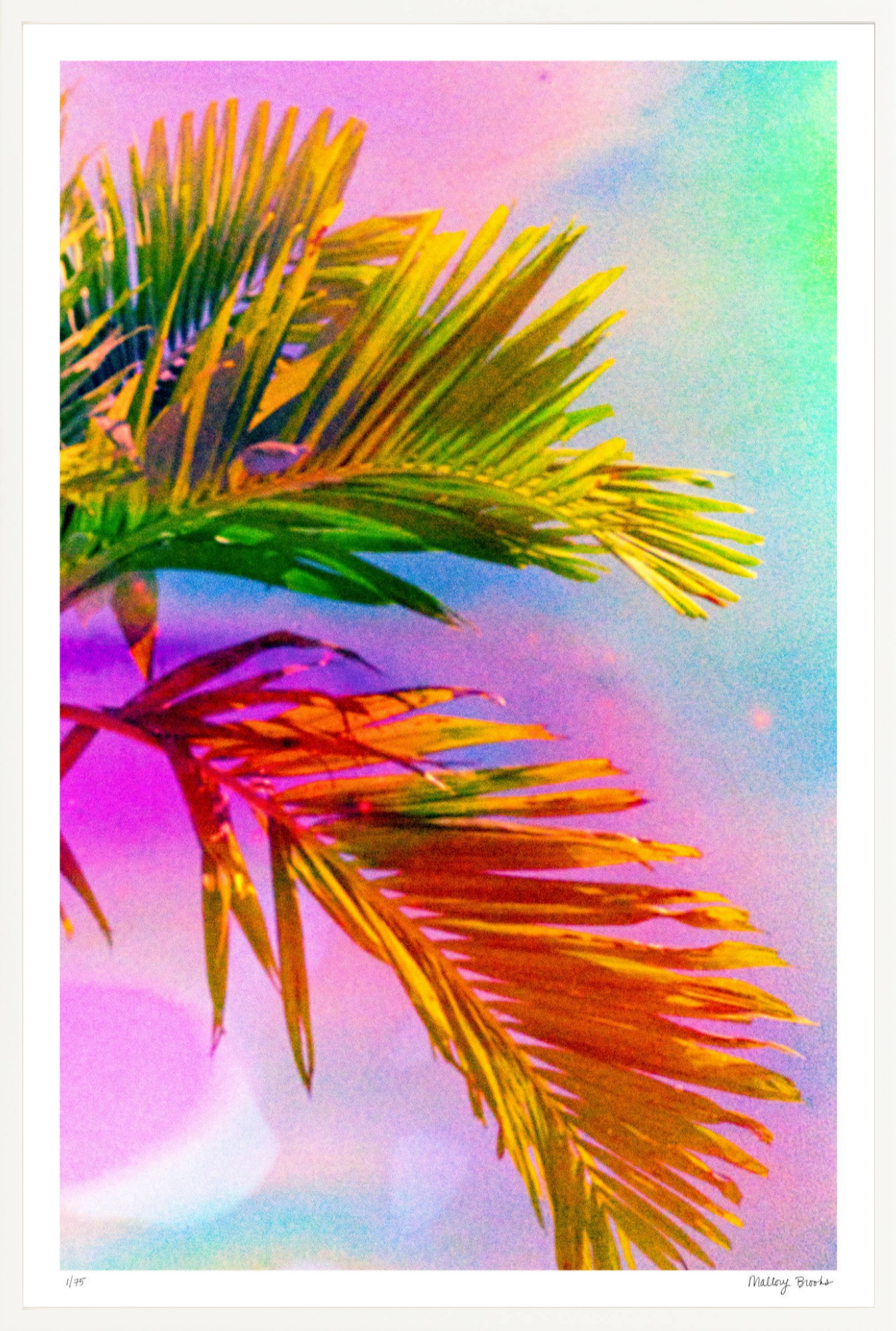 Electric Paradise No. 3