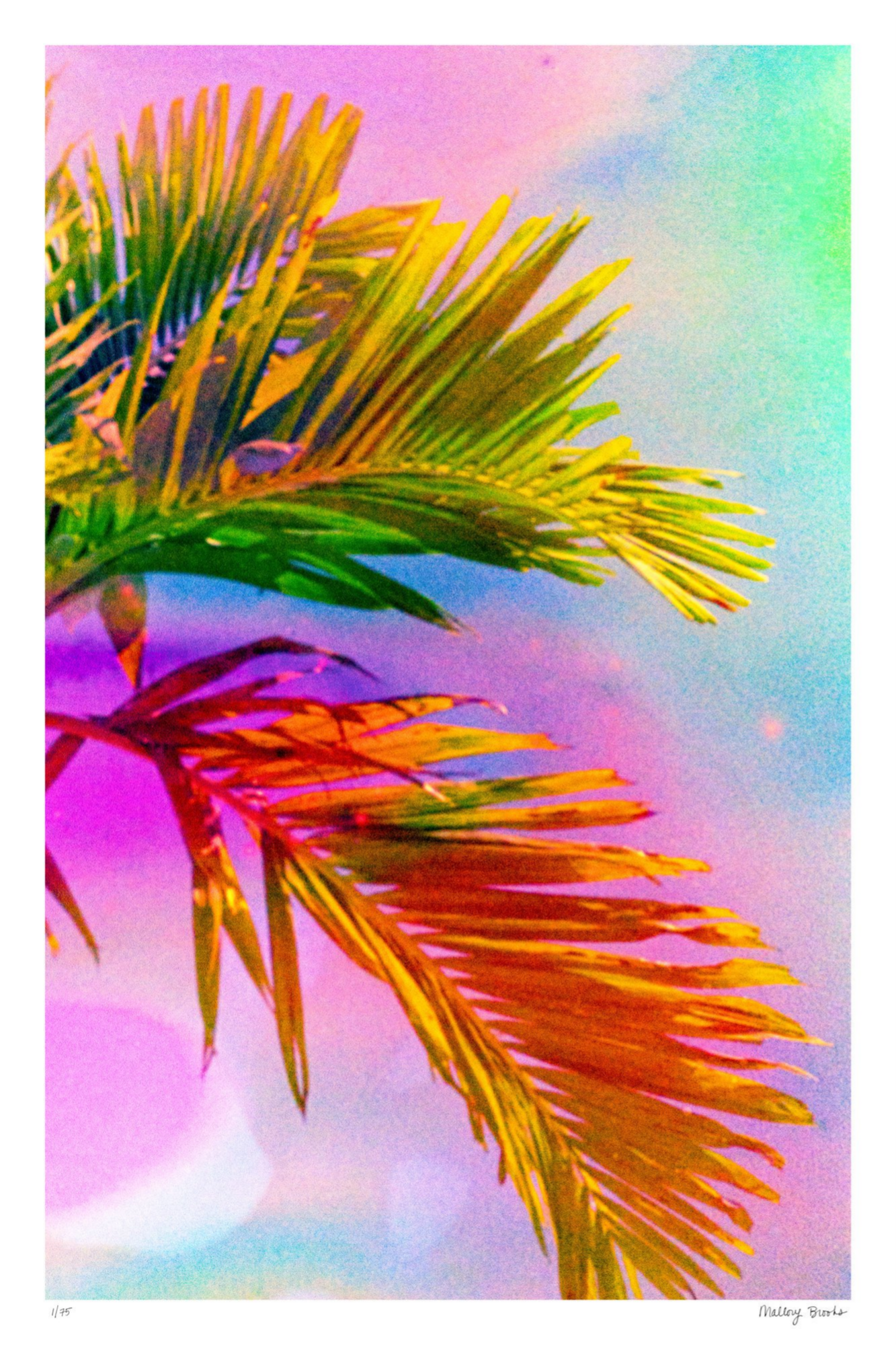 Electric Paradise No. 3