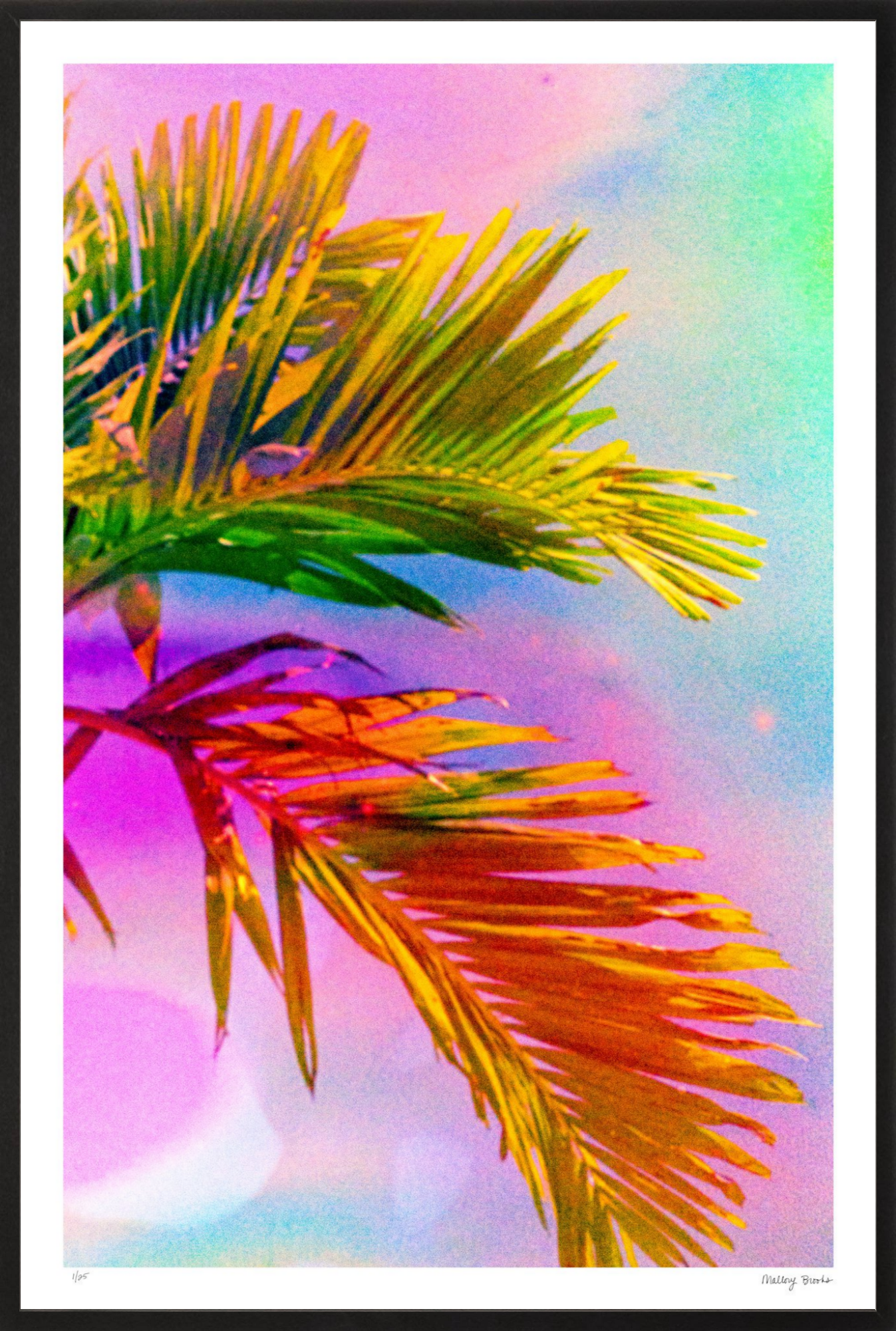 Electric Paradise No. 3