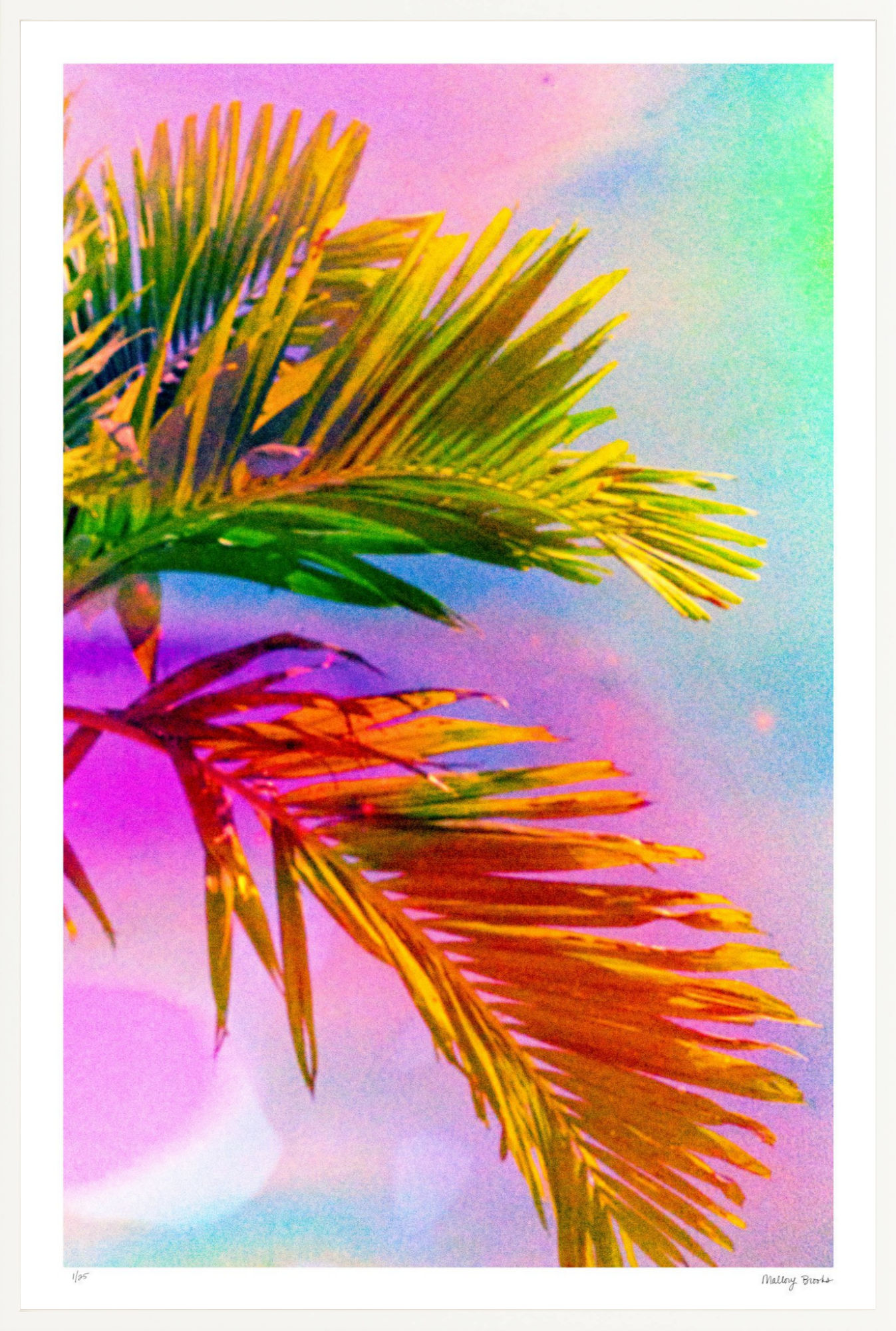 Electric Paradise No. 3