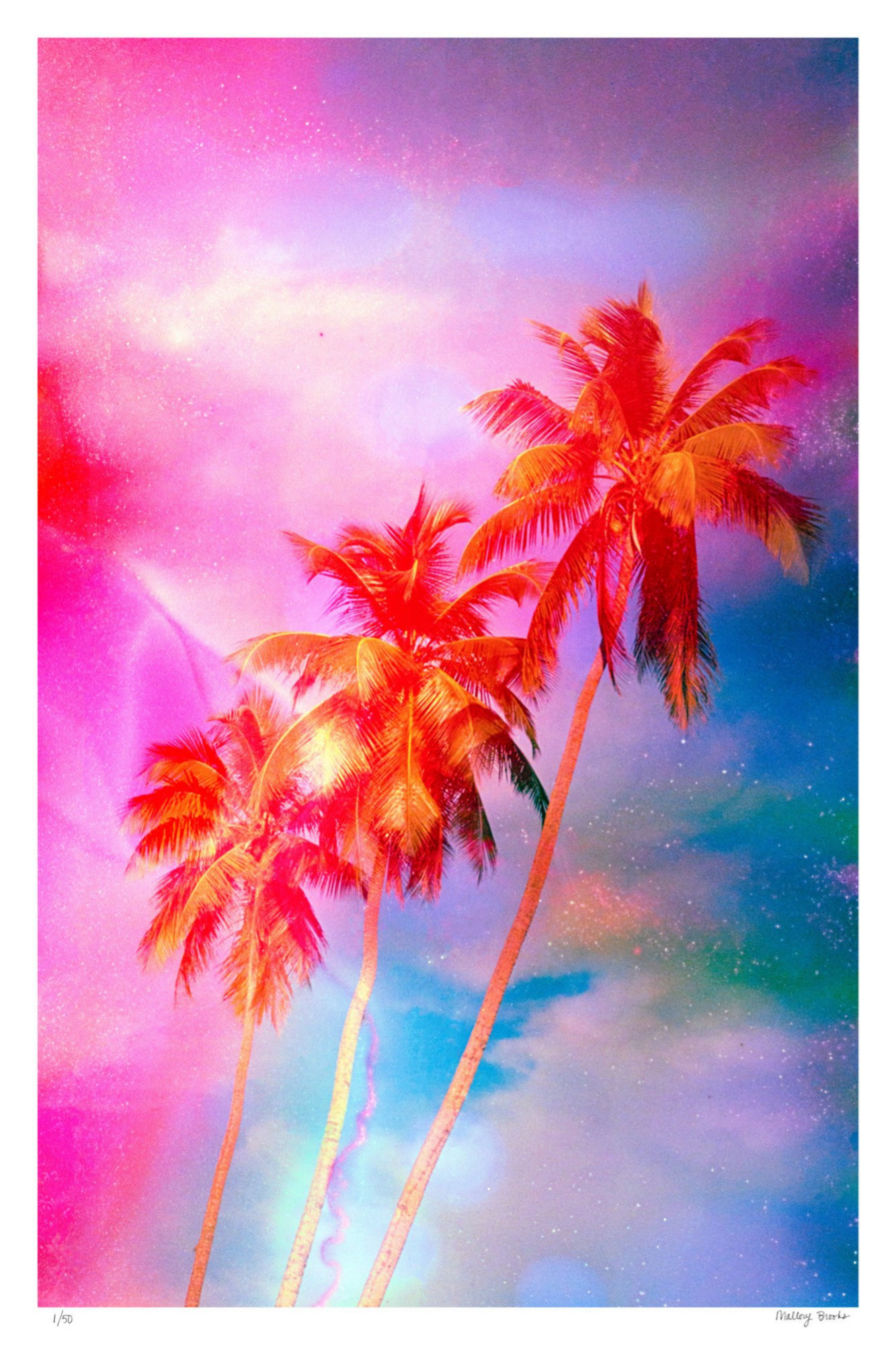 Electric Paradise No. 5