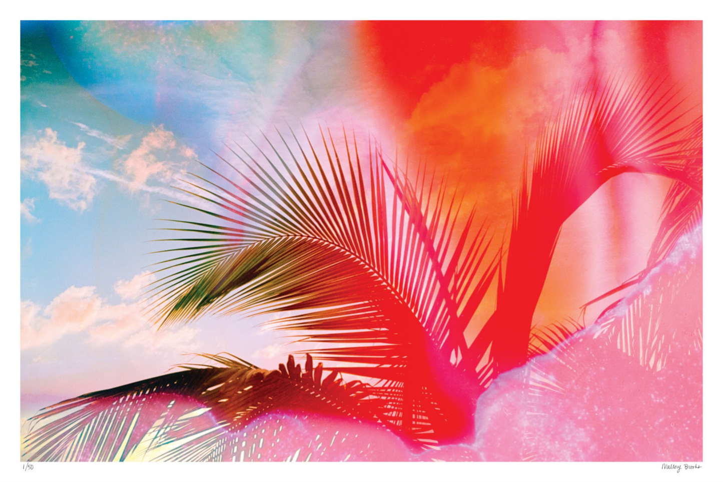 Fire Fronds
