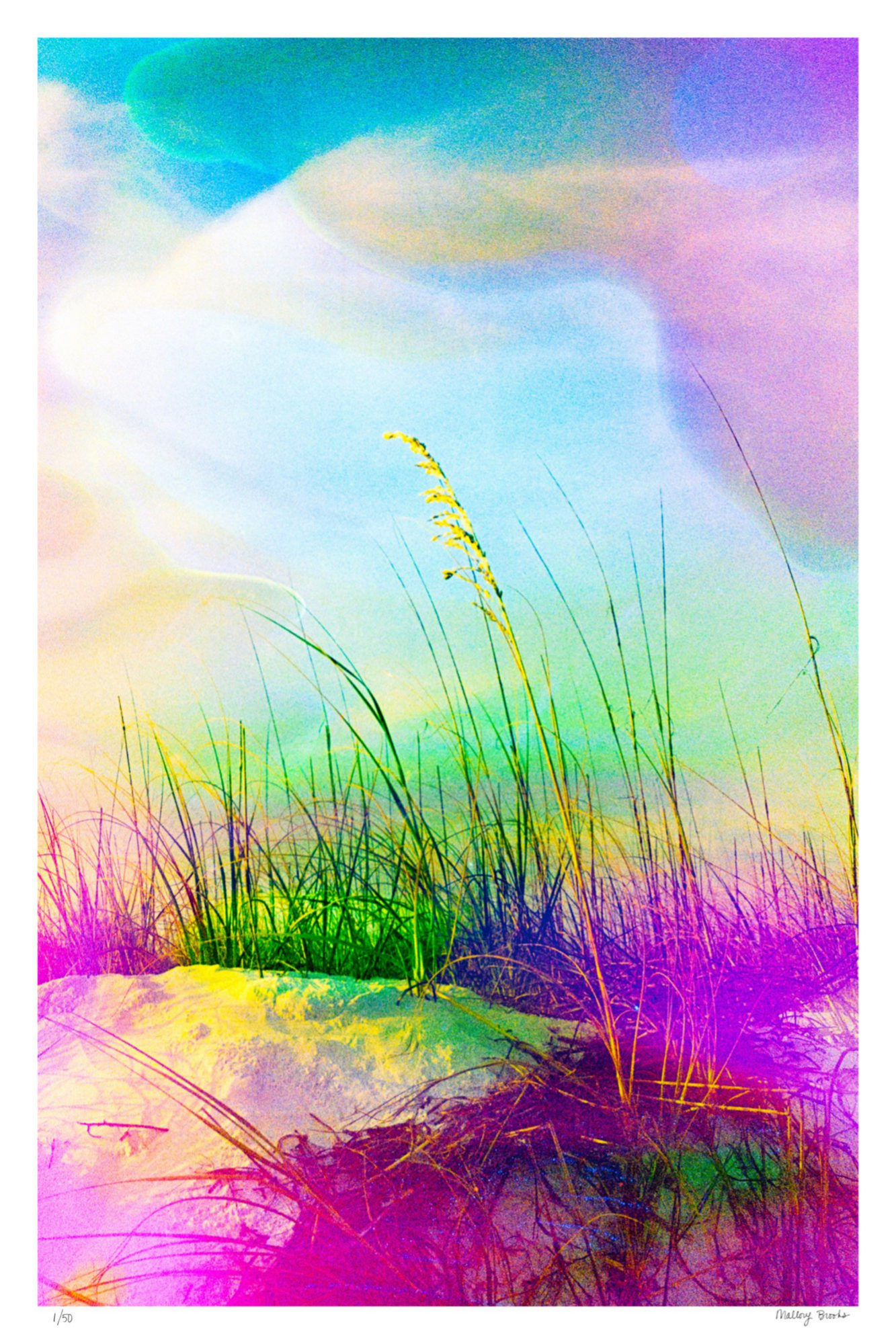 Neon Sea Oats