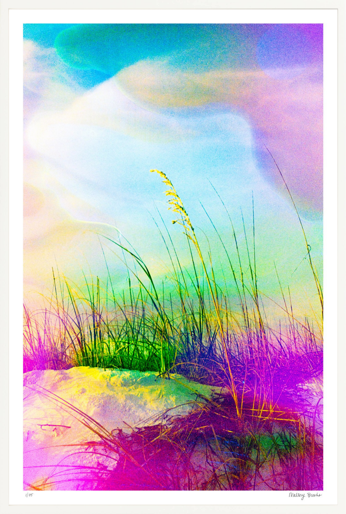 Neon Sea Oats