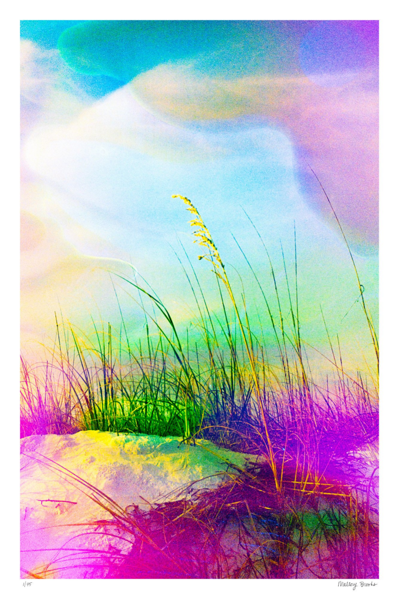 Neon Sea Oats