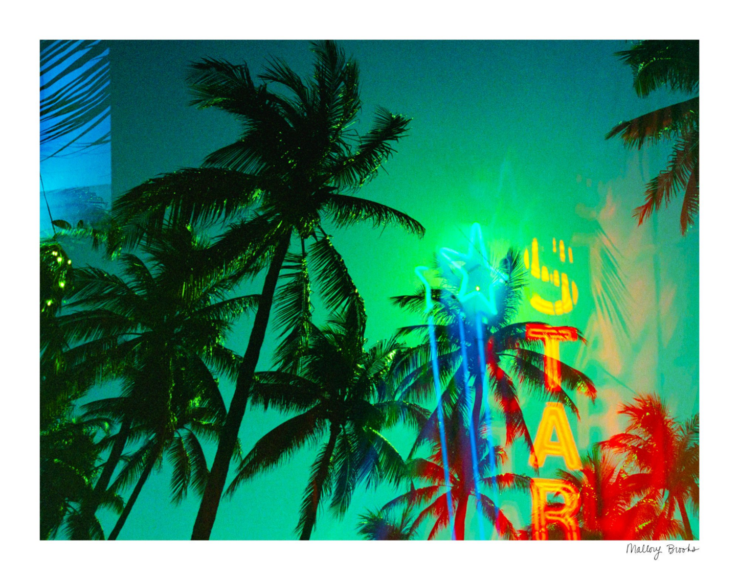 Neon Star Palms No. 1
